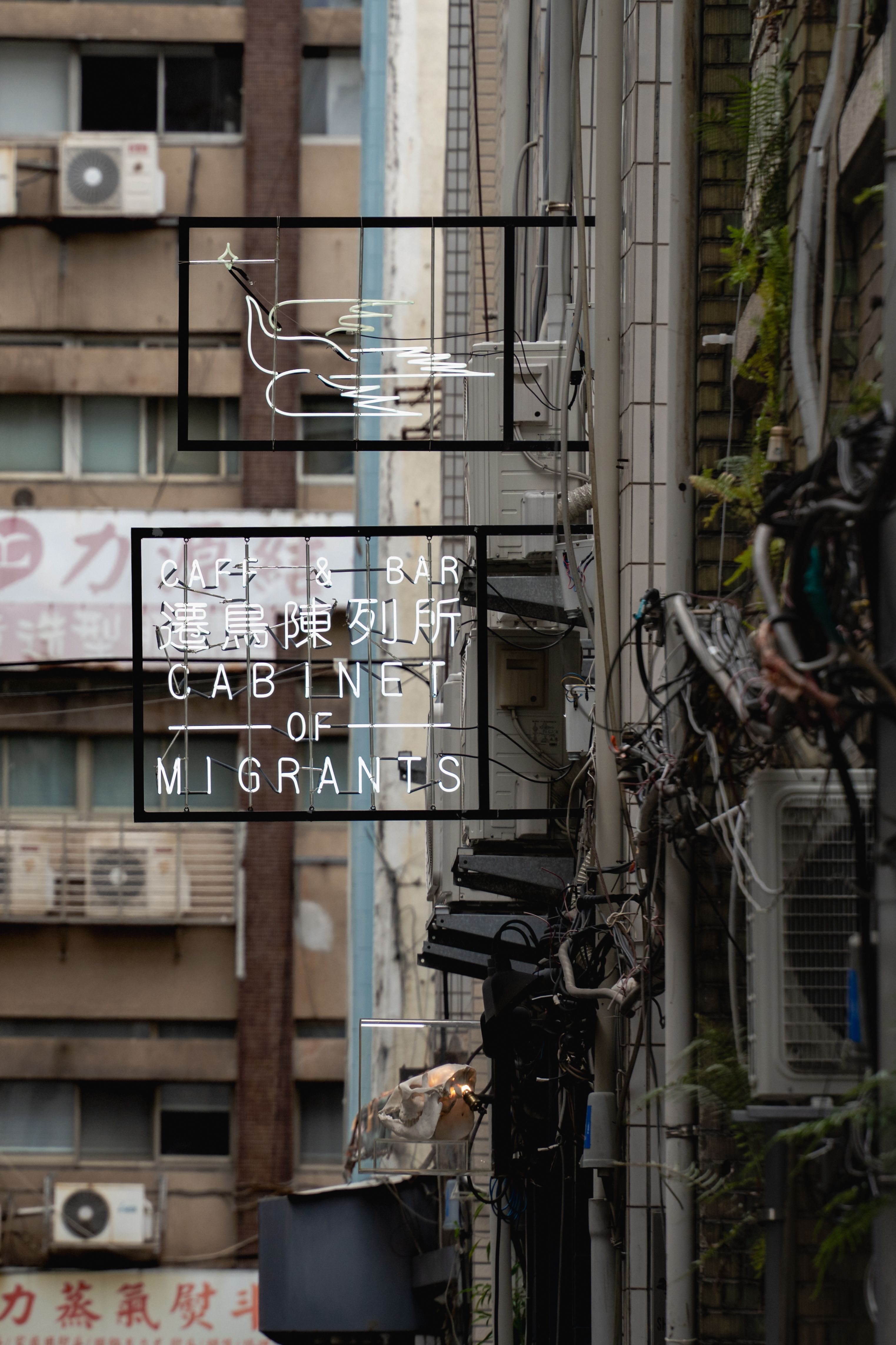 Image 56 from album: "taiwan""