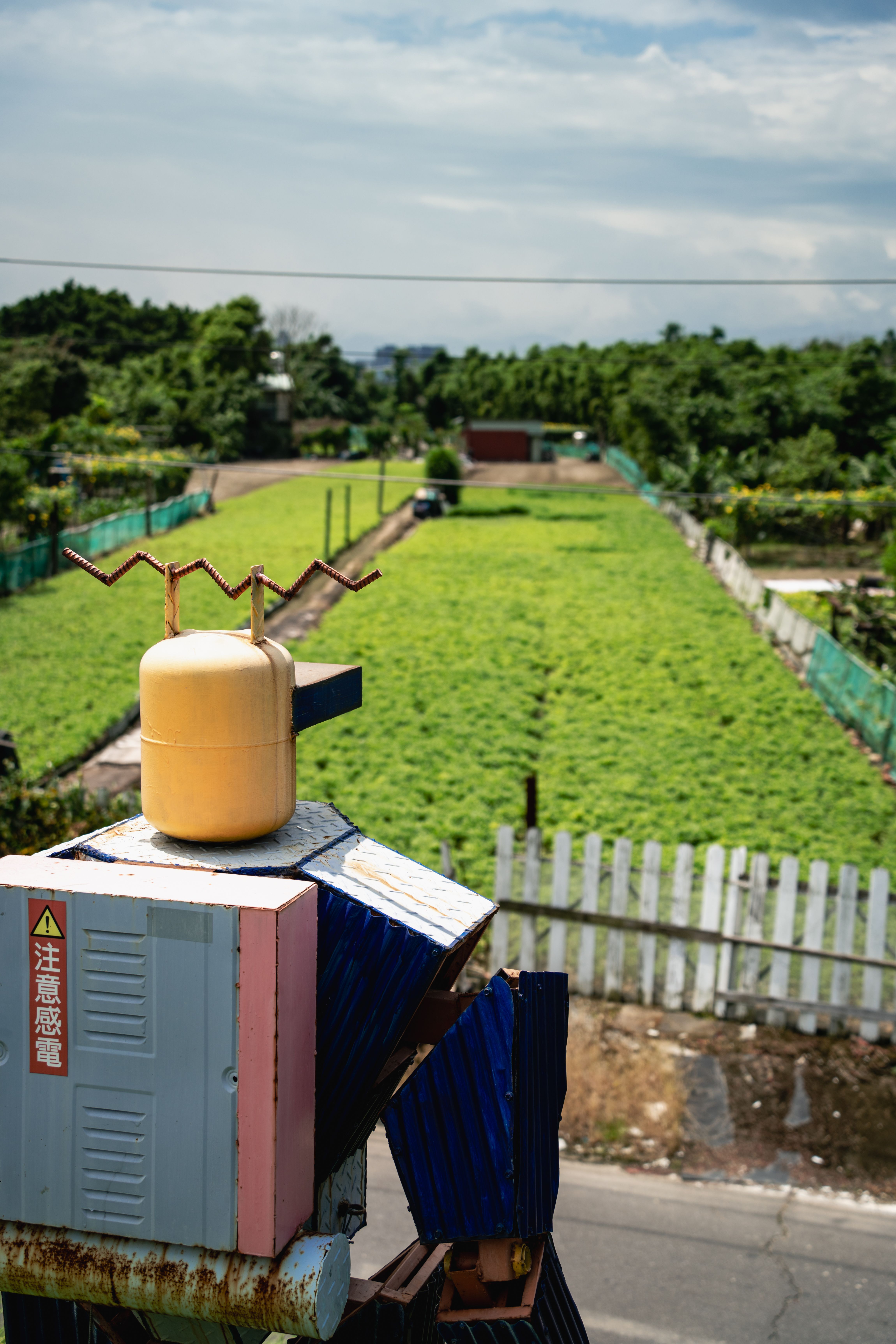 Image 64 from album: "taiwan""