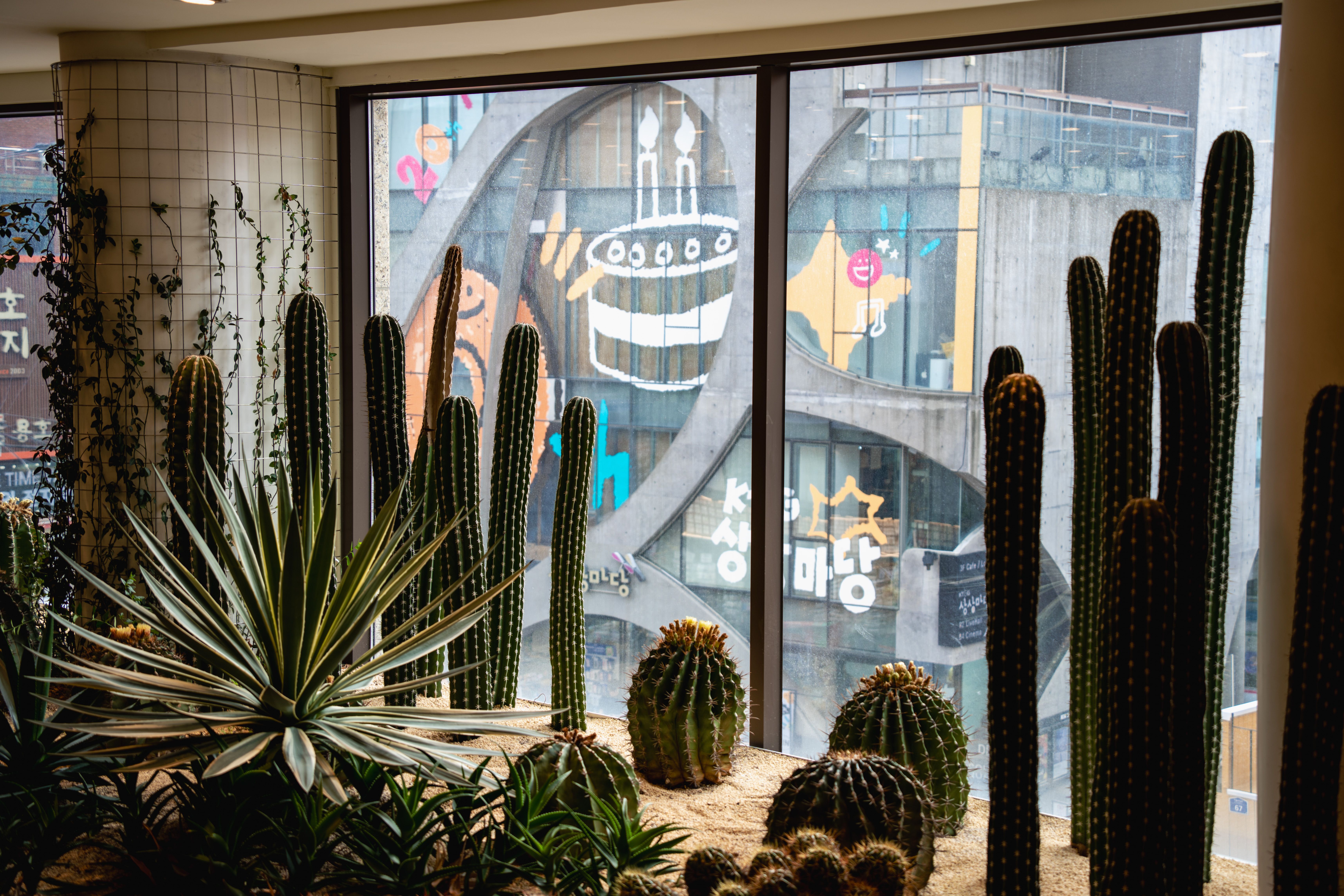 Image 8 from album: "south-korea""