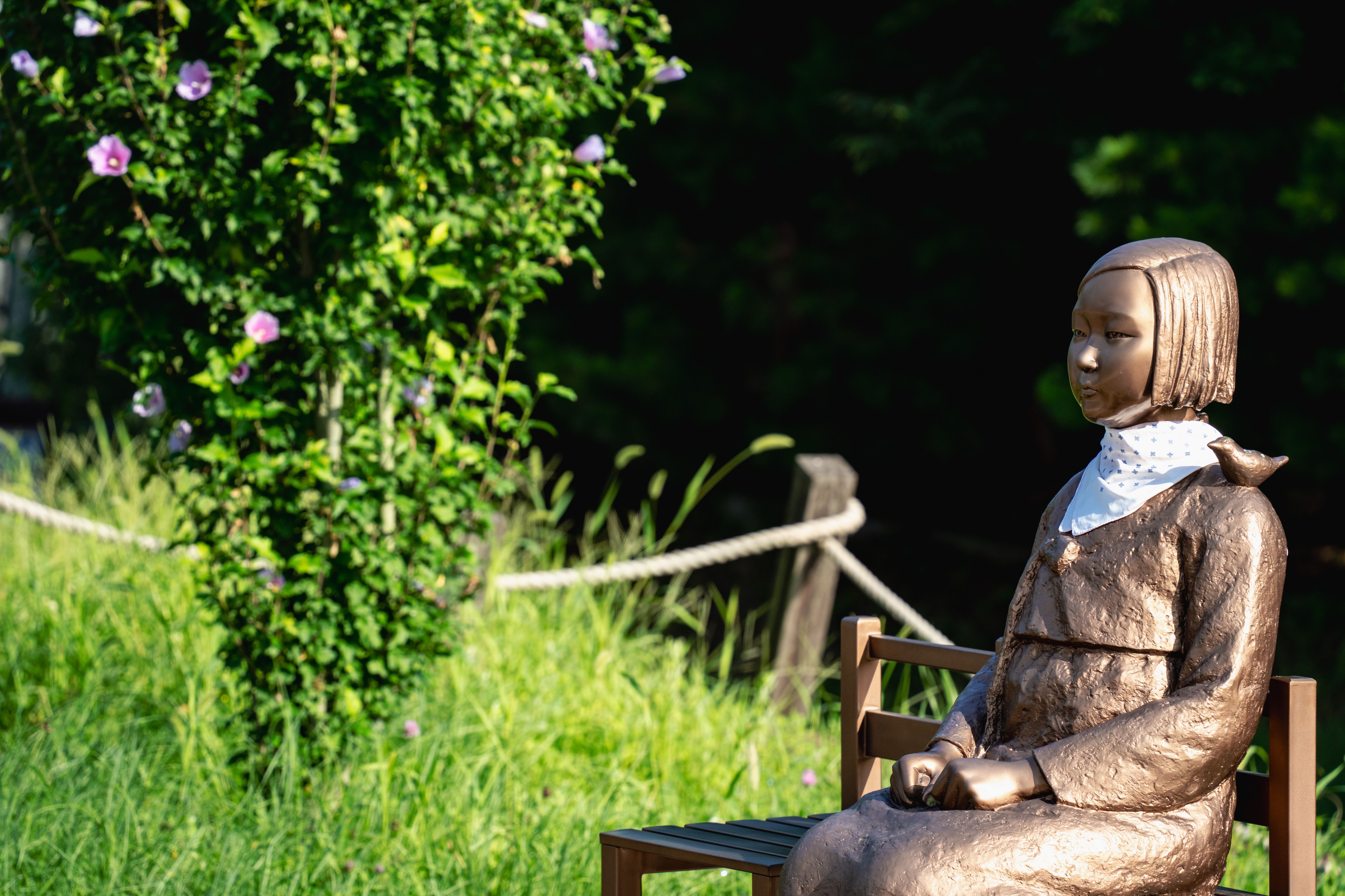 Image 18 from album: "south-korea""