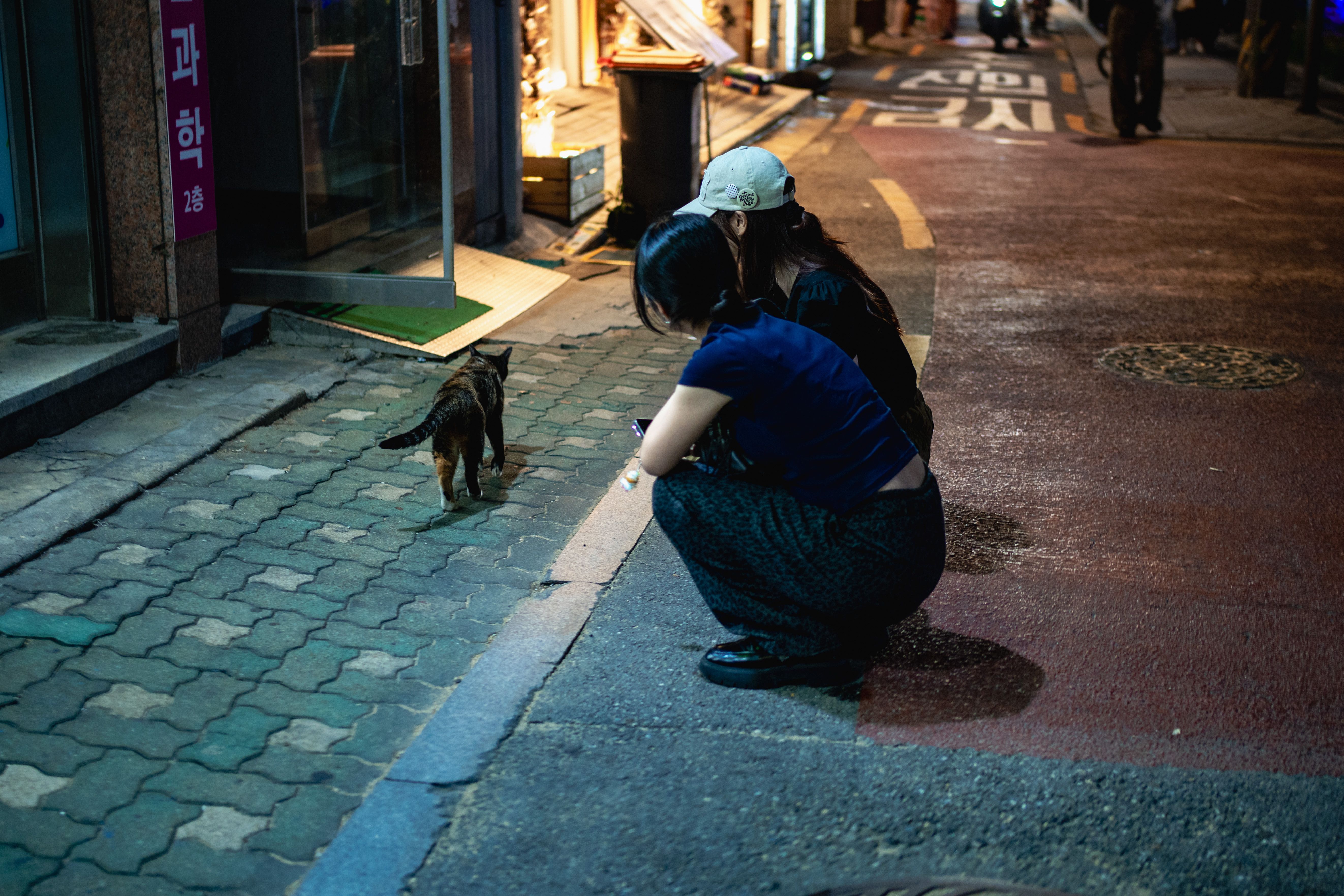 Image 26 from album: "south-korea""