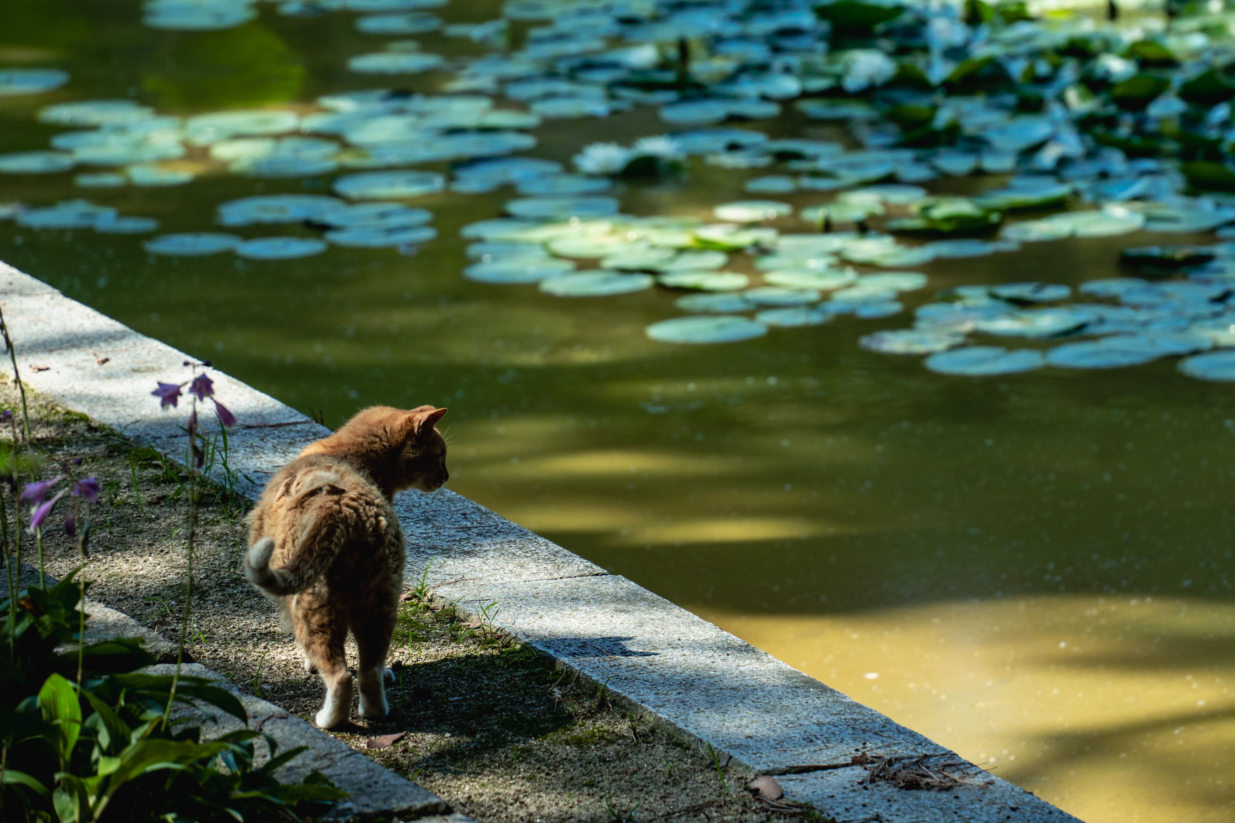 Image 29 from album: "south-korea""