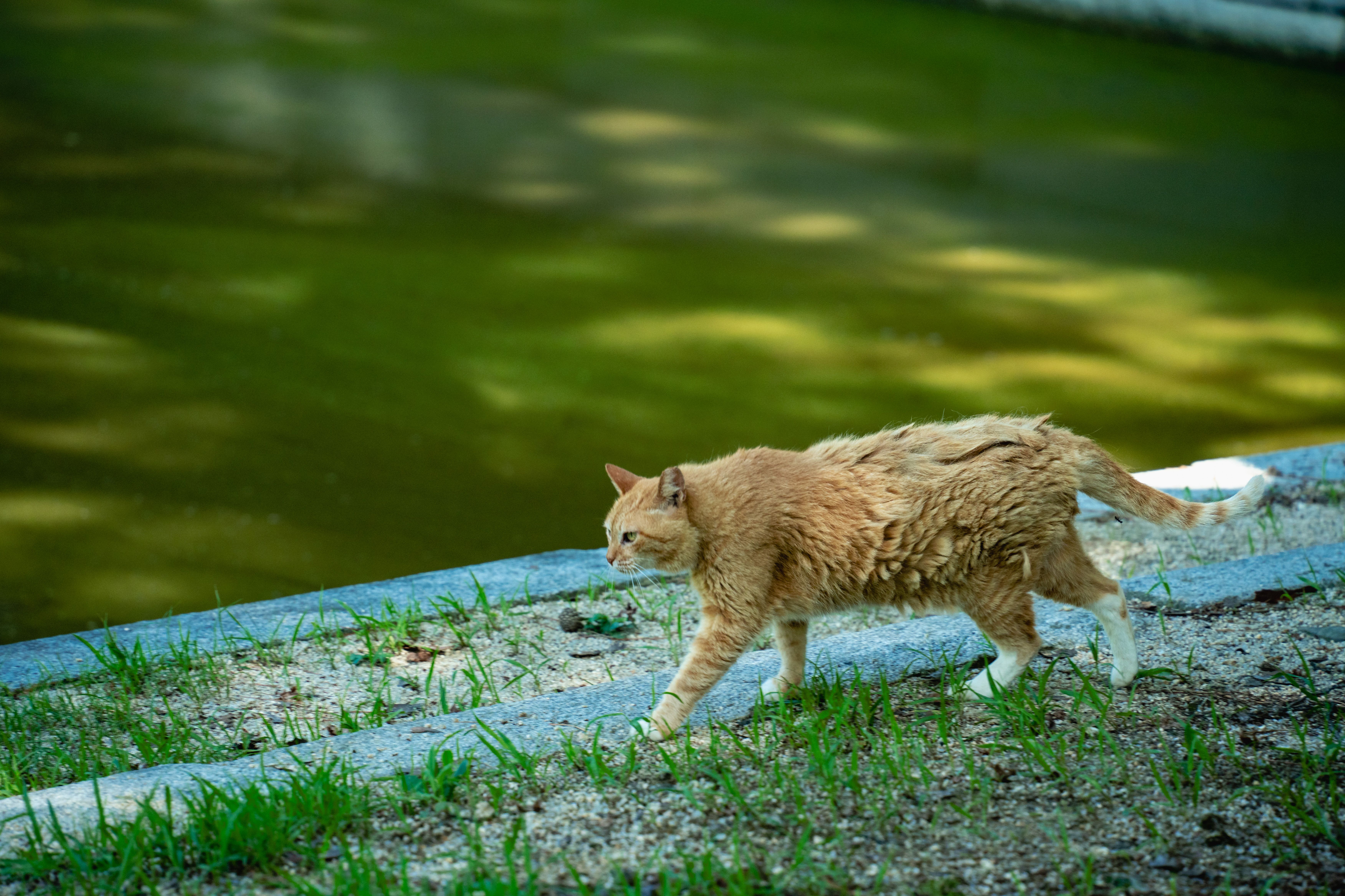 Image 30 from album: "south-korea""