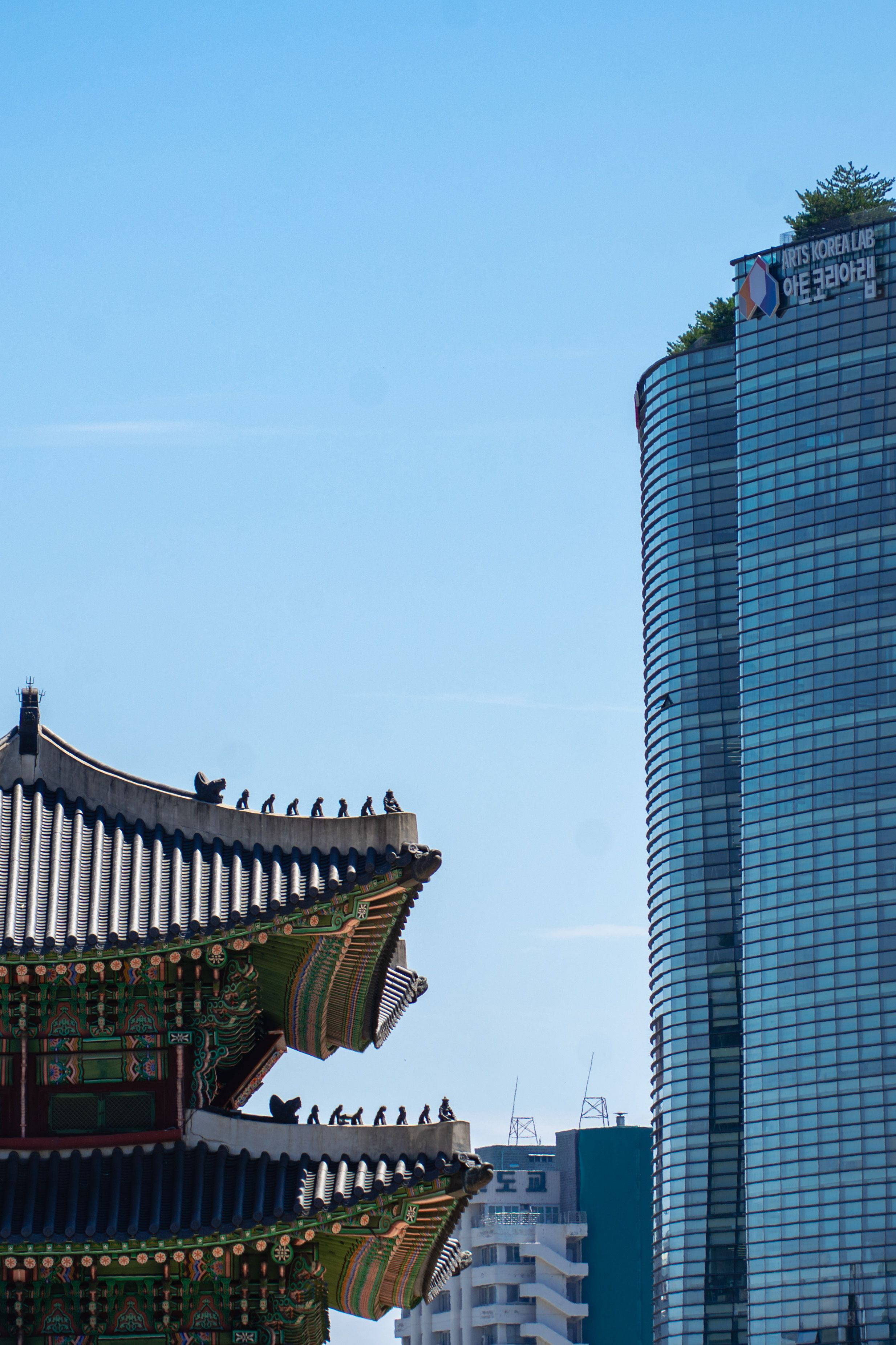 Image 36 from album: "south-korea""