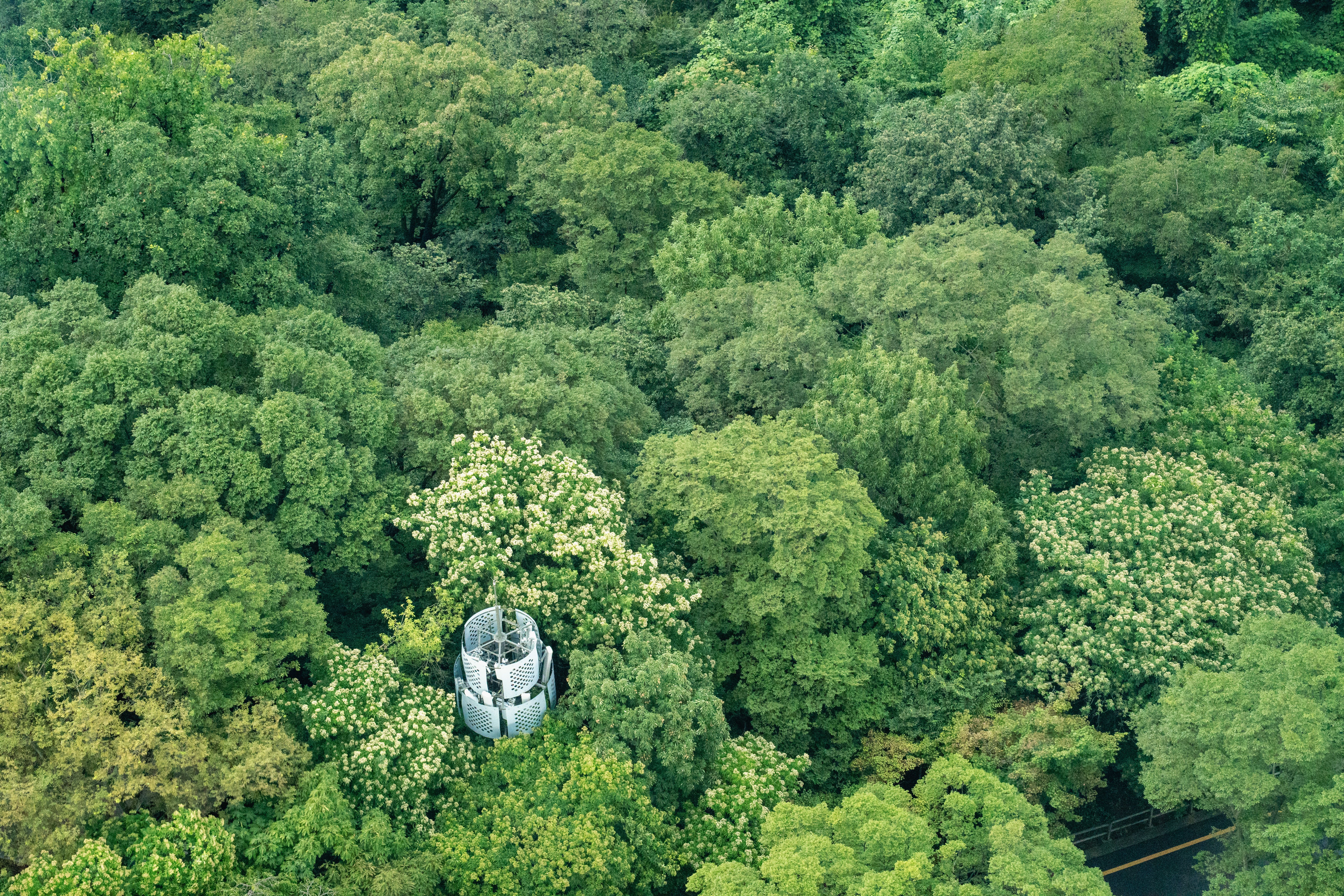 Image 41 from album: "south-korea""