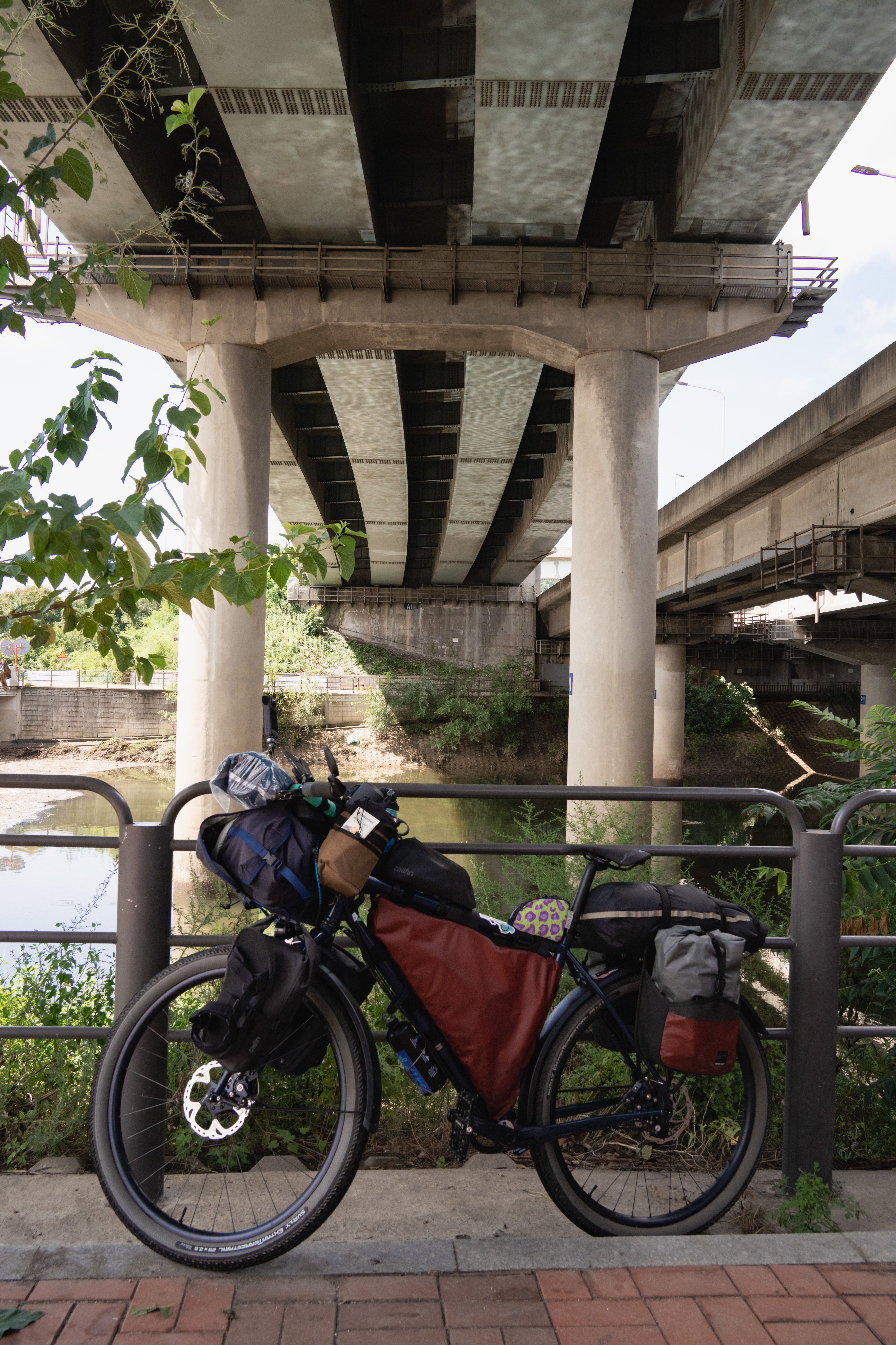 Image 45 from album: "south-korea""