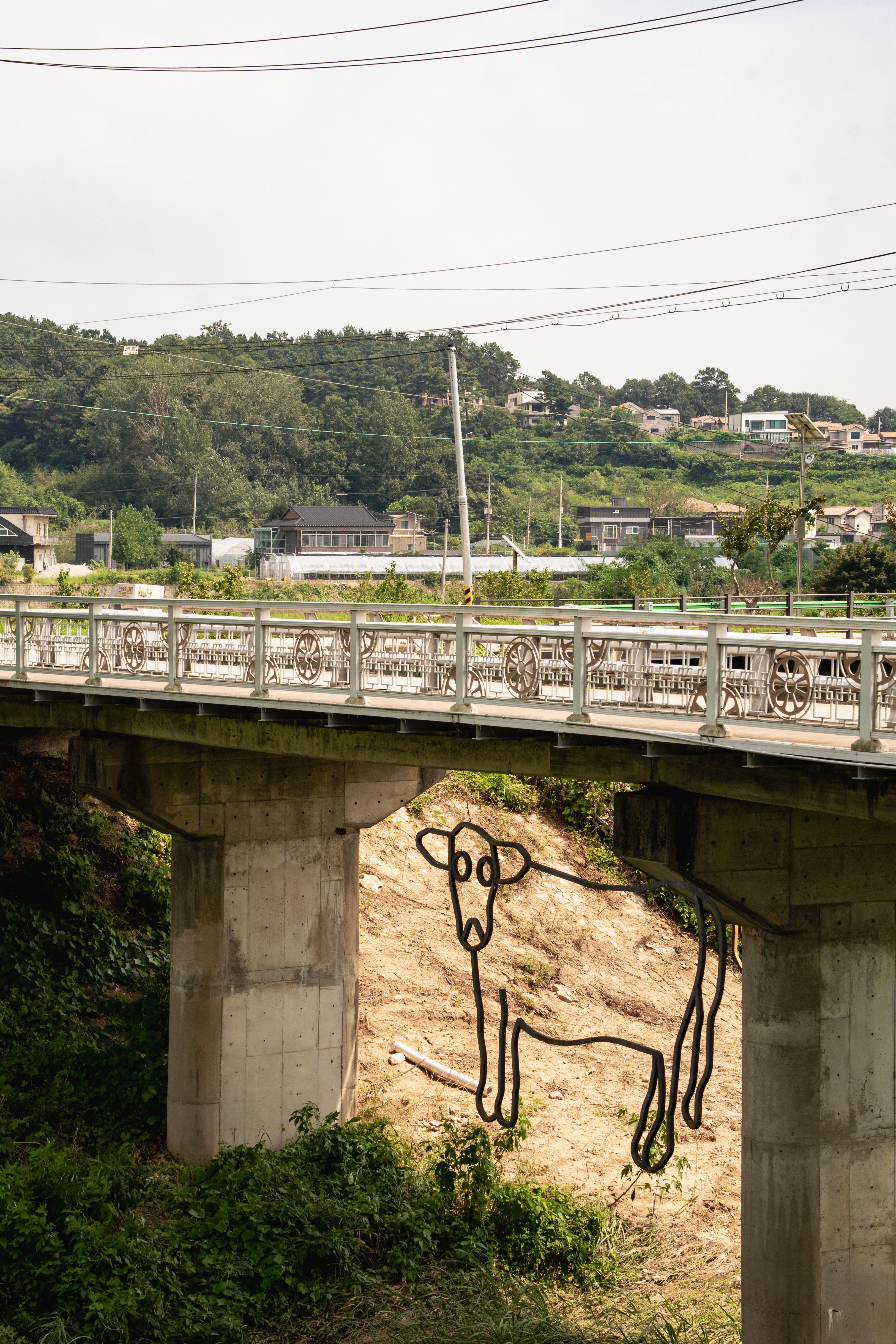 Image 52 from album: "south-korea""