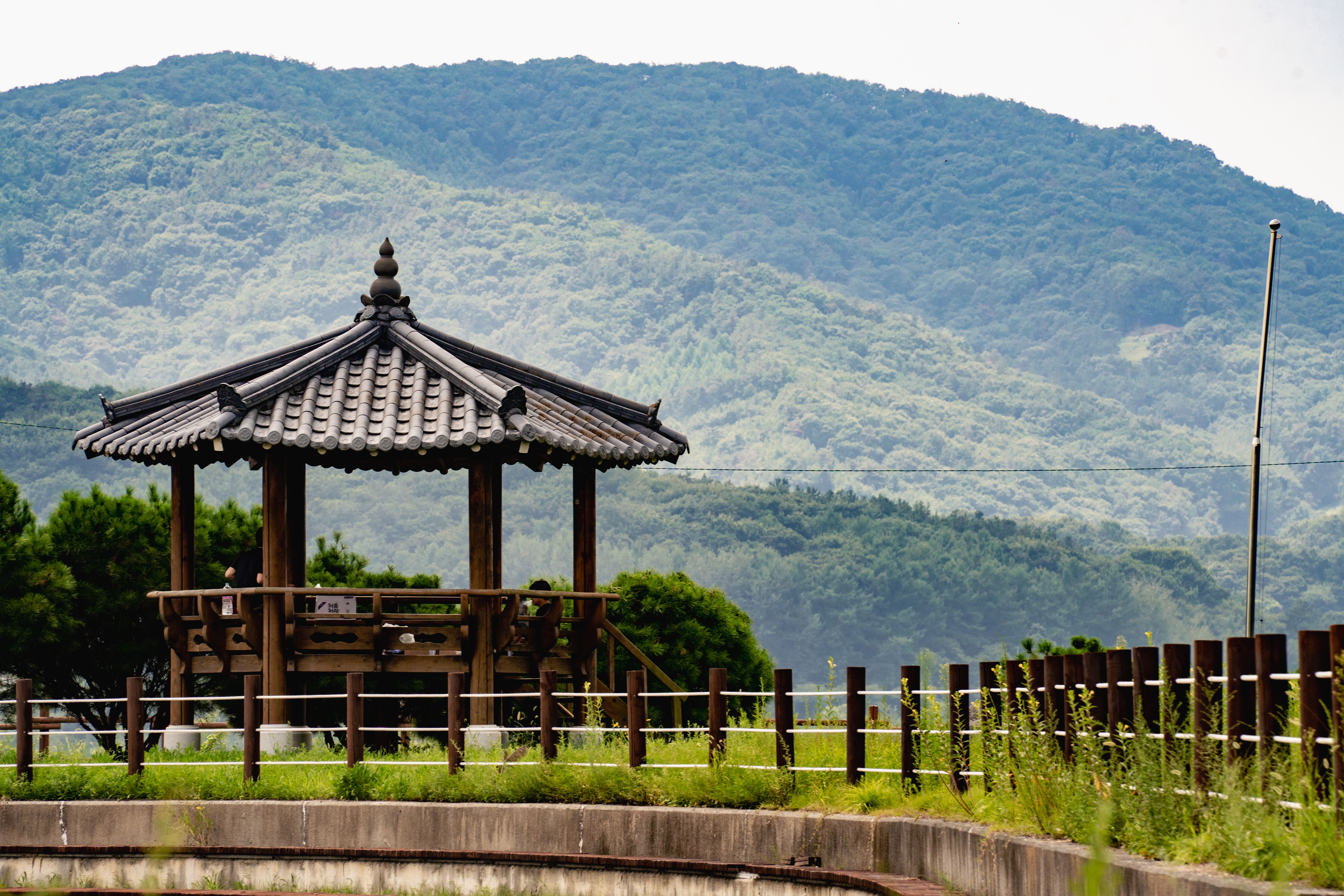 Image 53 from album: "south-korea""