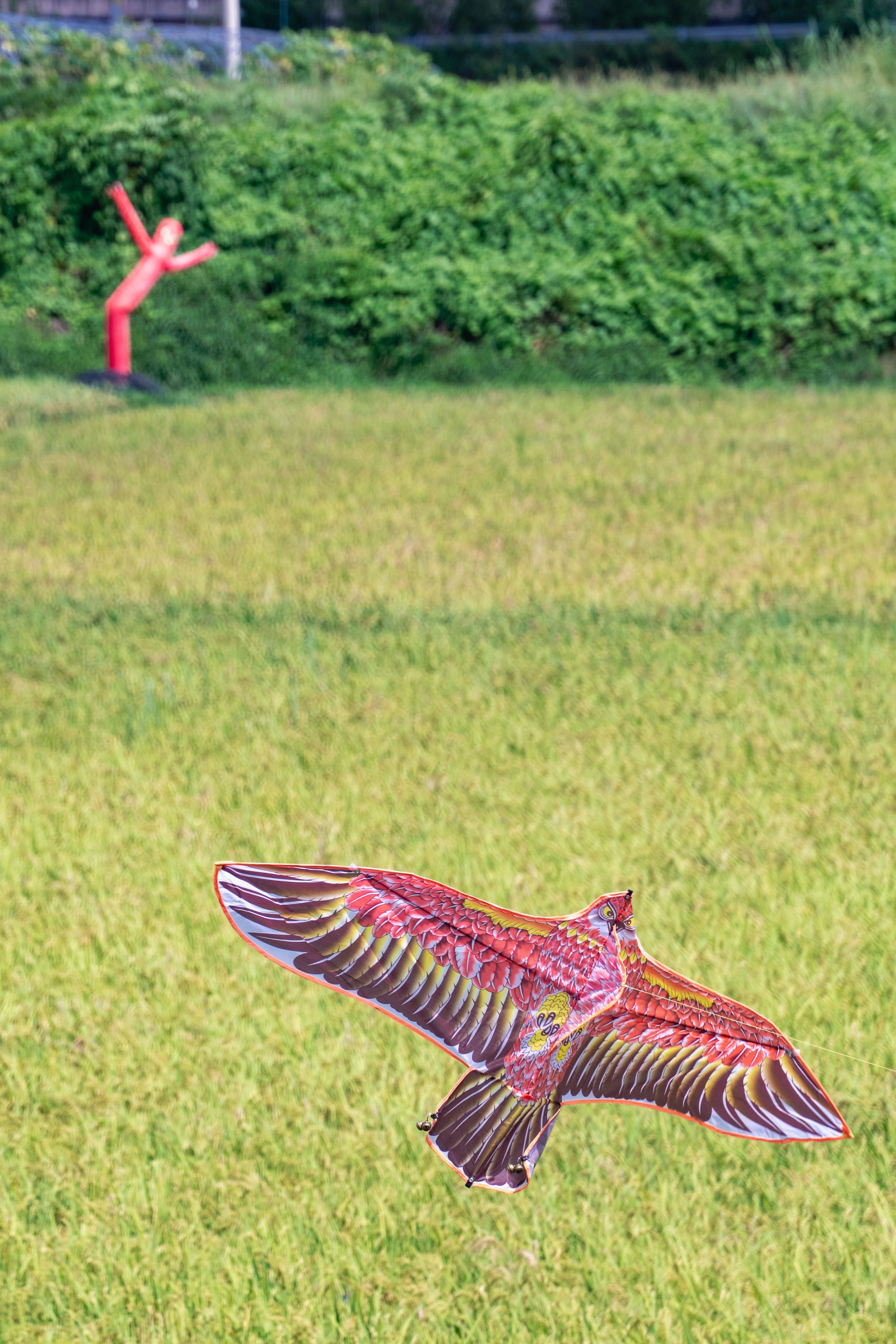 Image 59 from album: "south-korea""