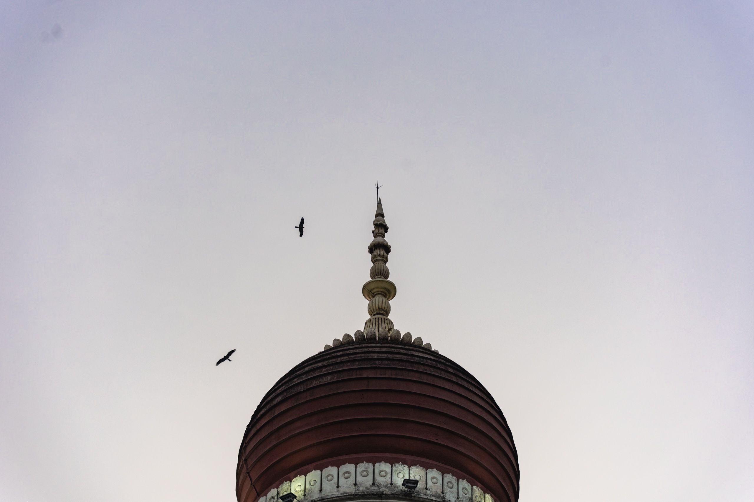 Image 1 from album: "india""