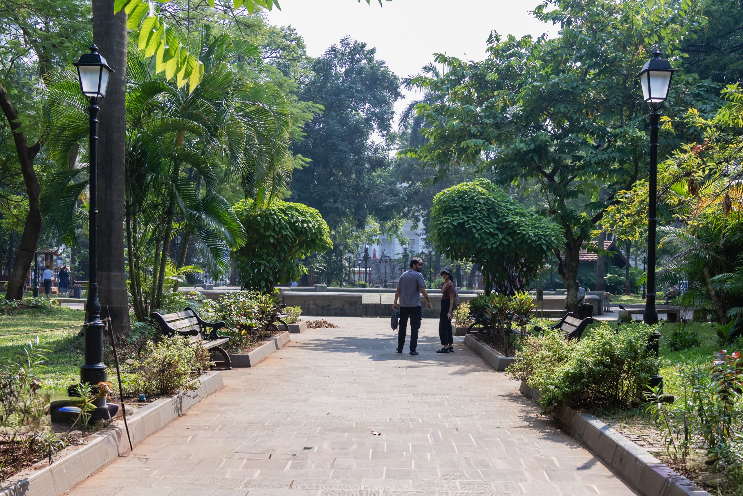 Image 8 from album: "india""