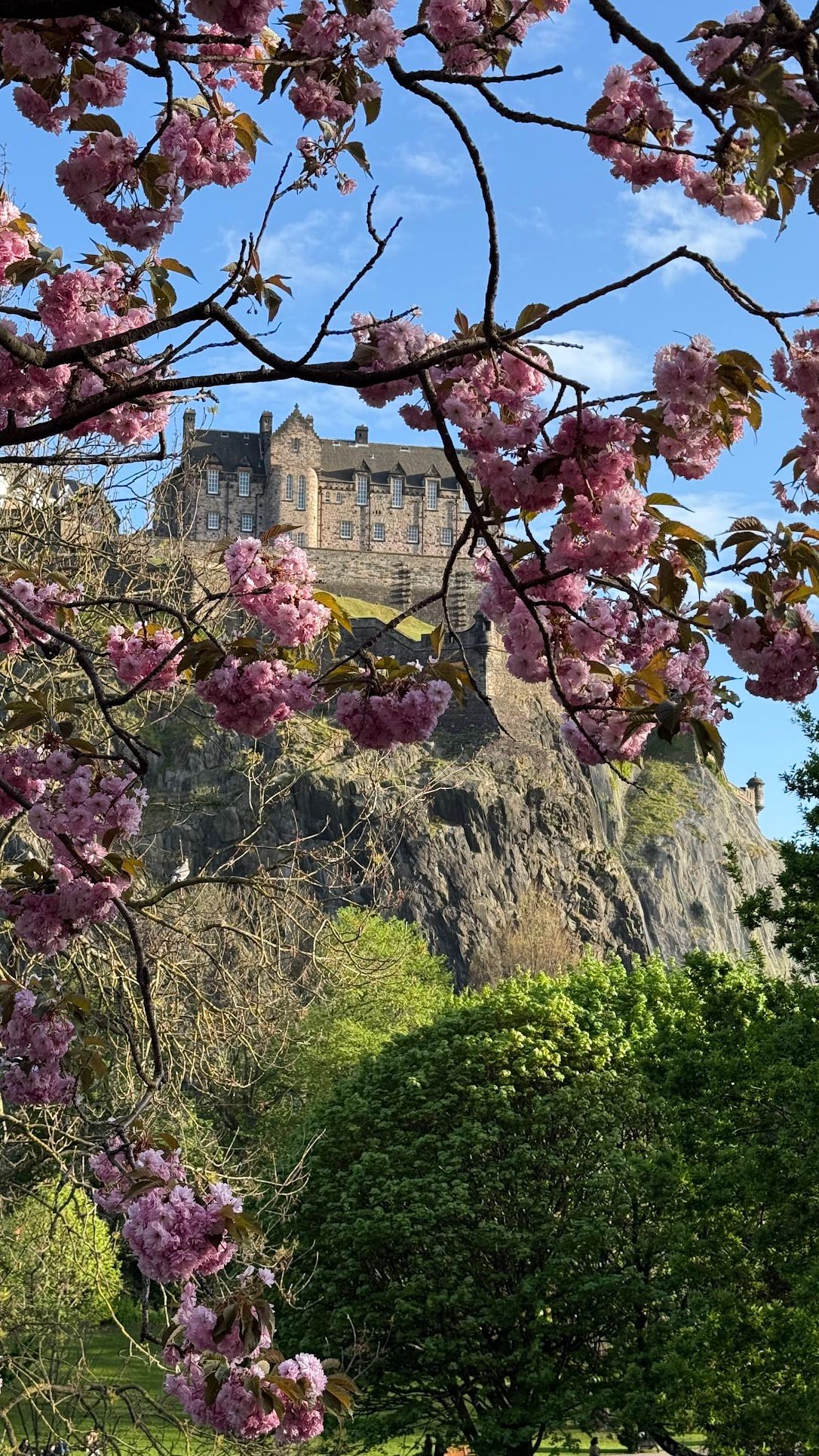 Image 3 from album: "scotland""