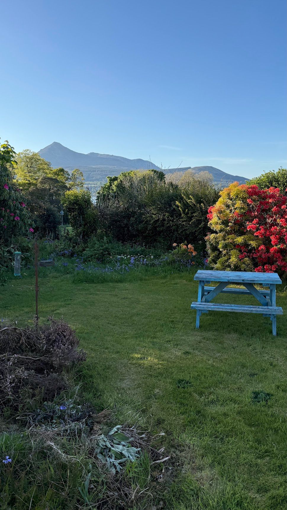 Image 5 from album: "scotland""