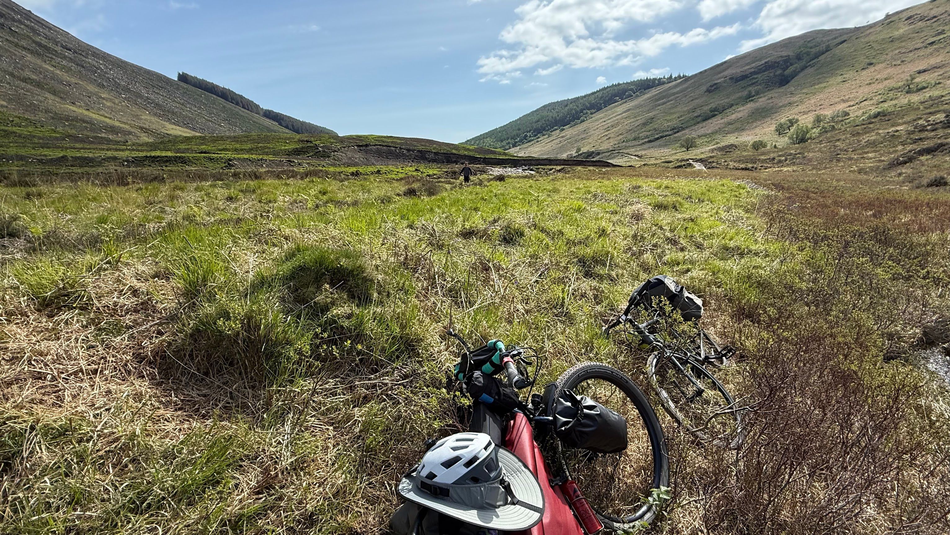 Image 8 from album: "scotland""