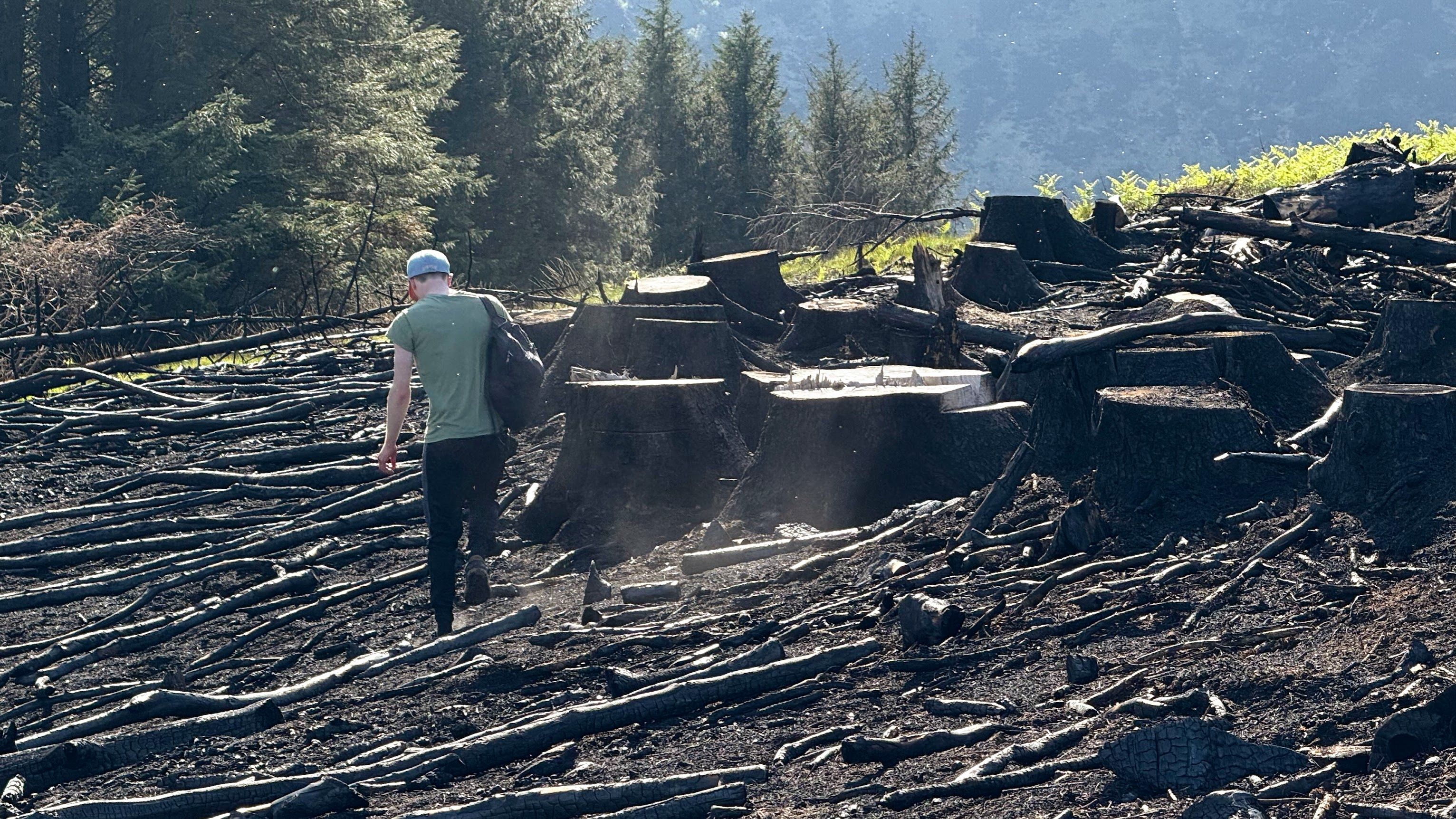 Image 15 from album: "scotland""