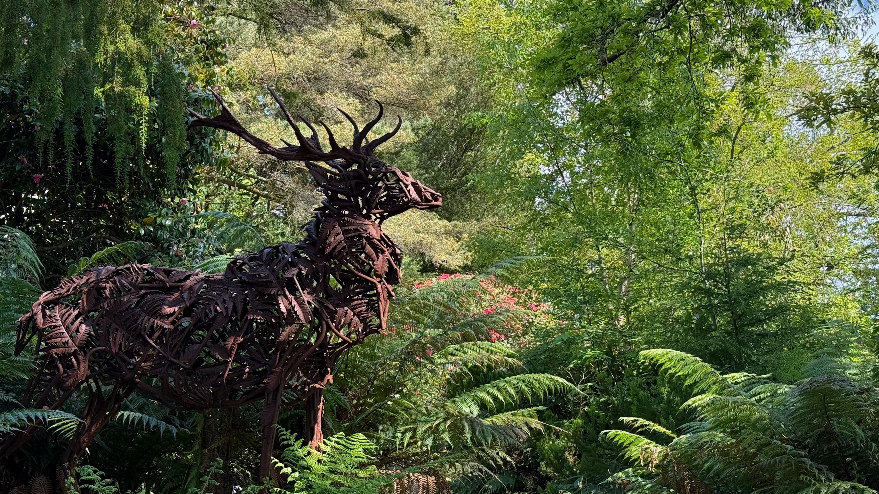 Image 17 from album: "scotland""