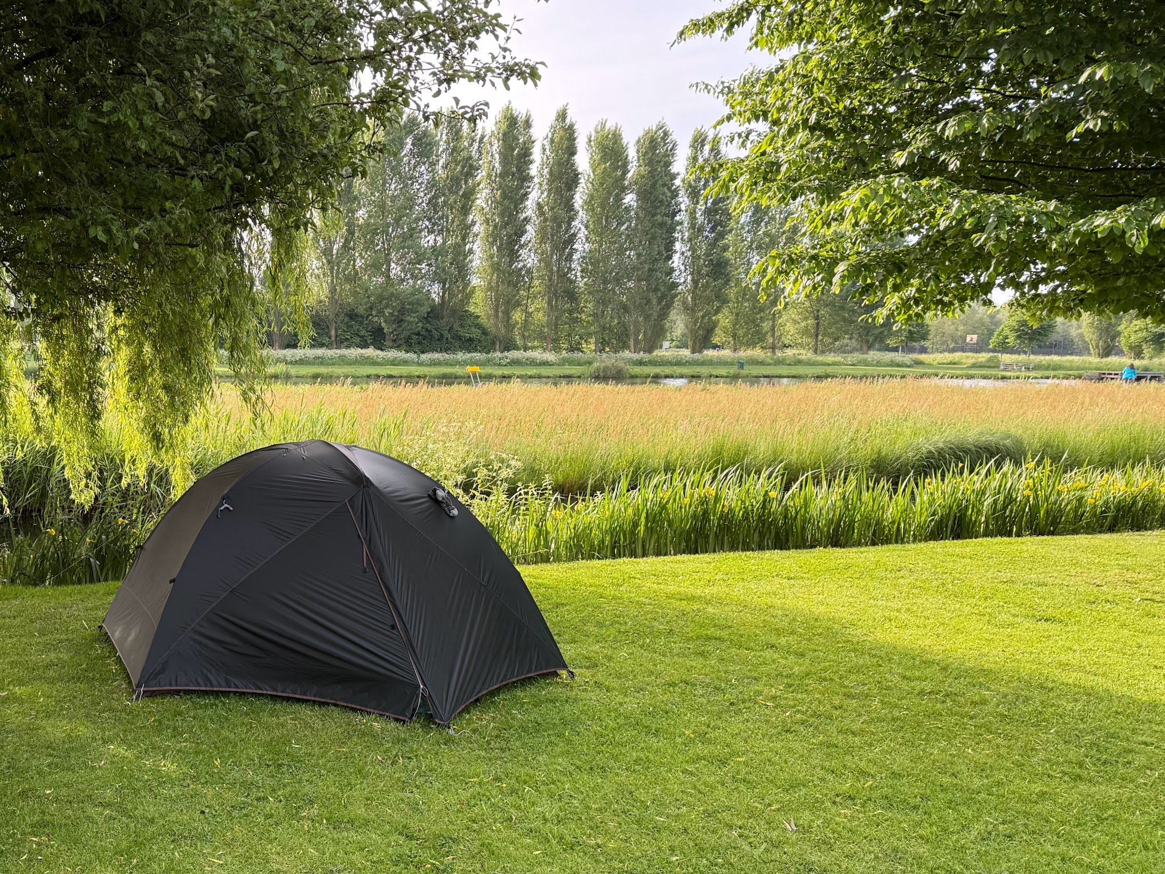 Image 5 from album: "the-netherlands""