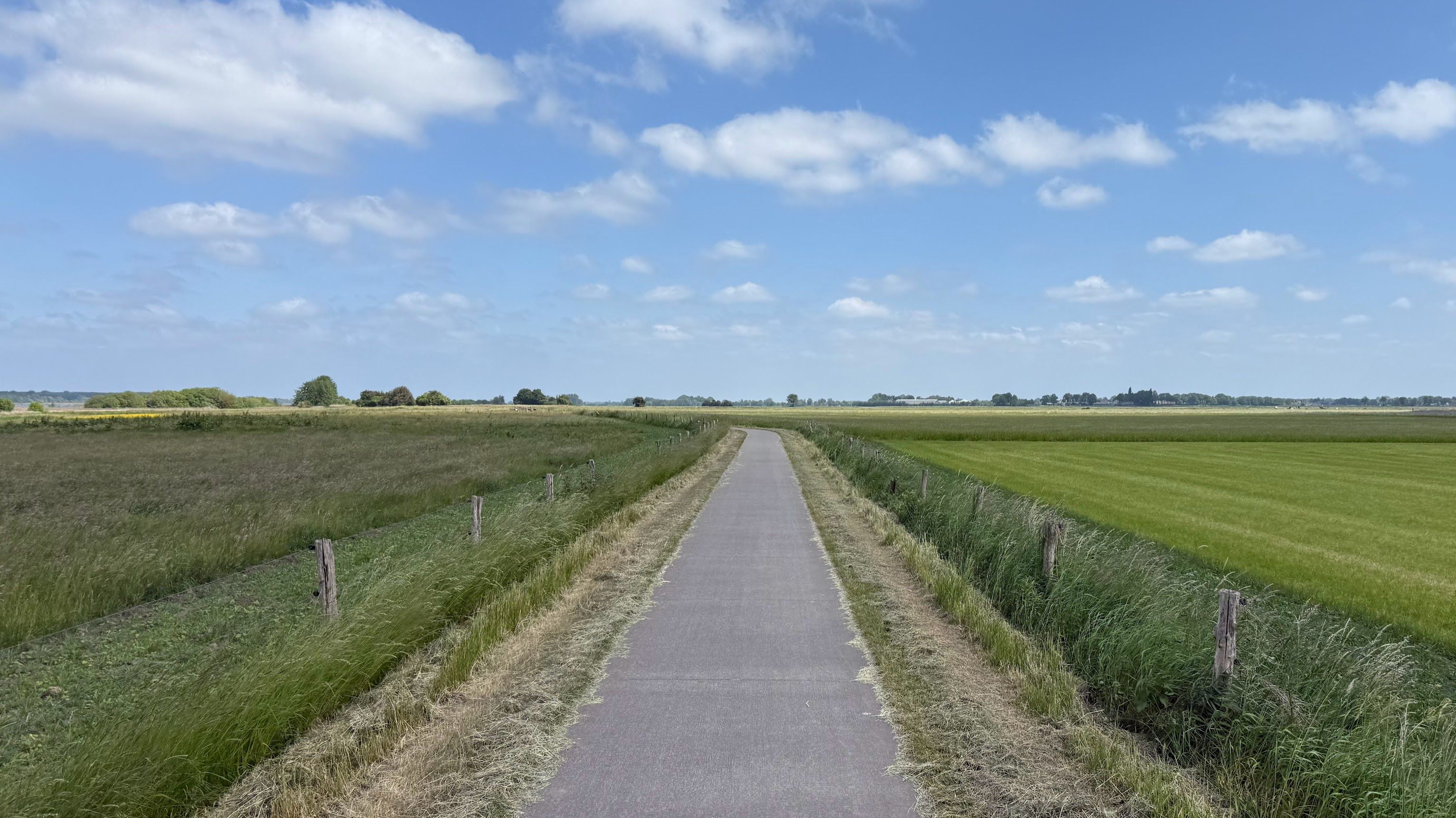 Image 6 from album: "the-netherlands""