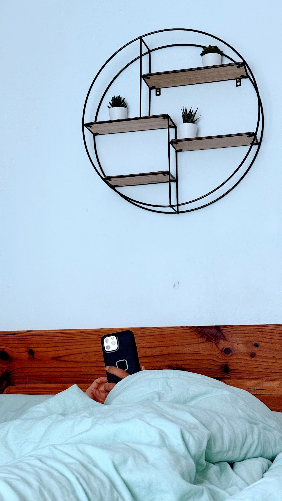 Image 12 from album: "the-netherlands""