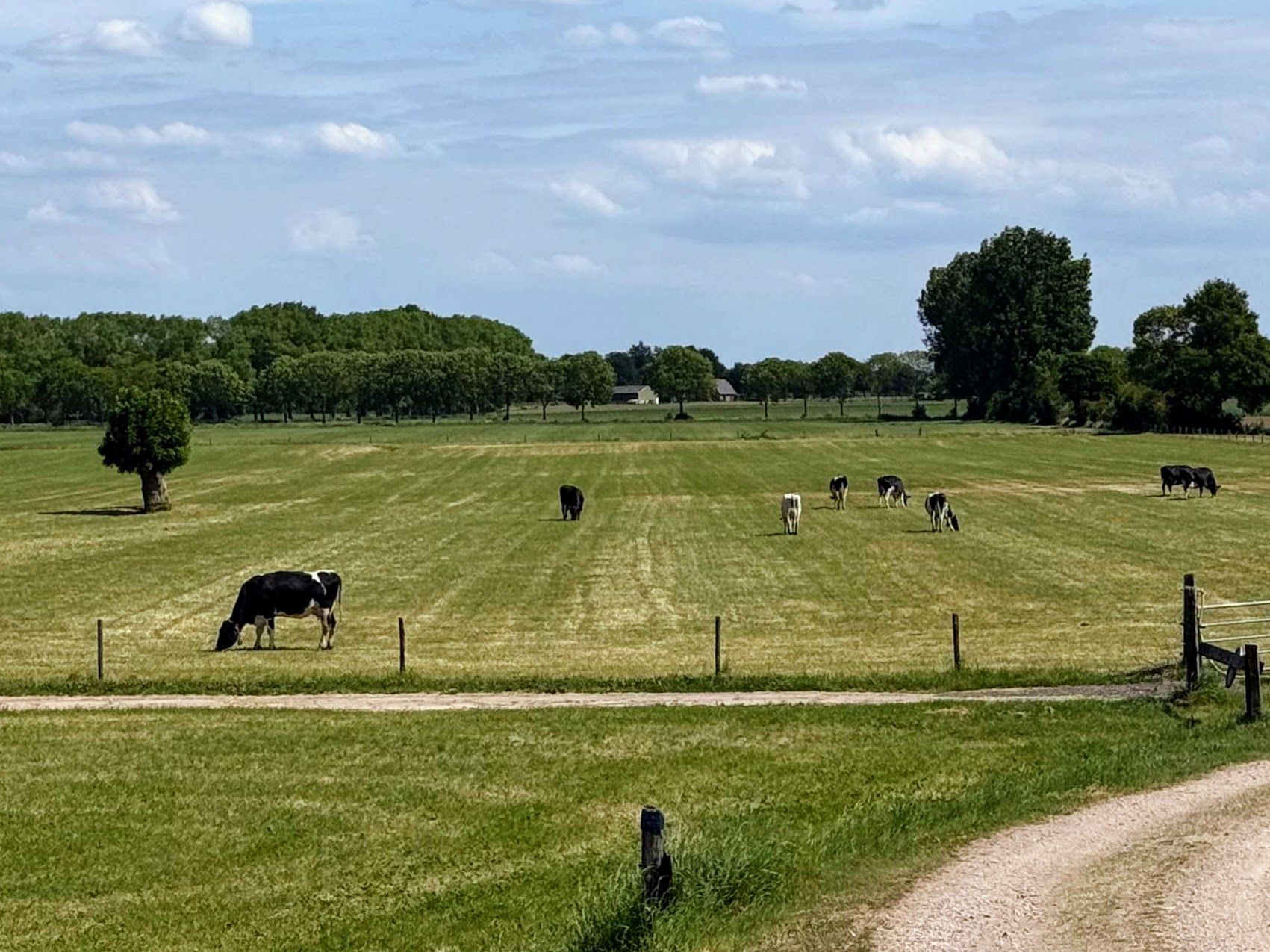 Image 18 from album: "the-netherlands""