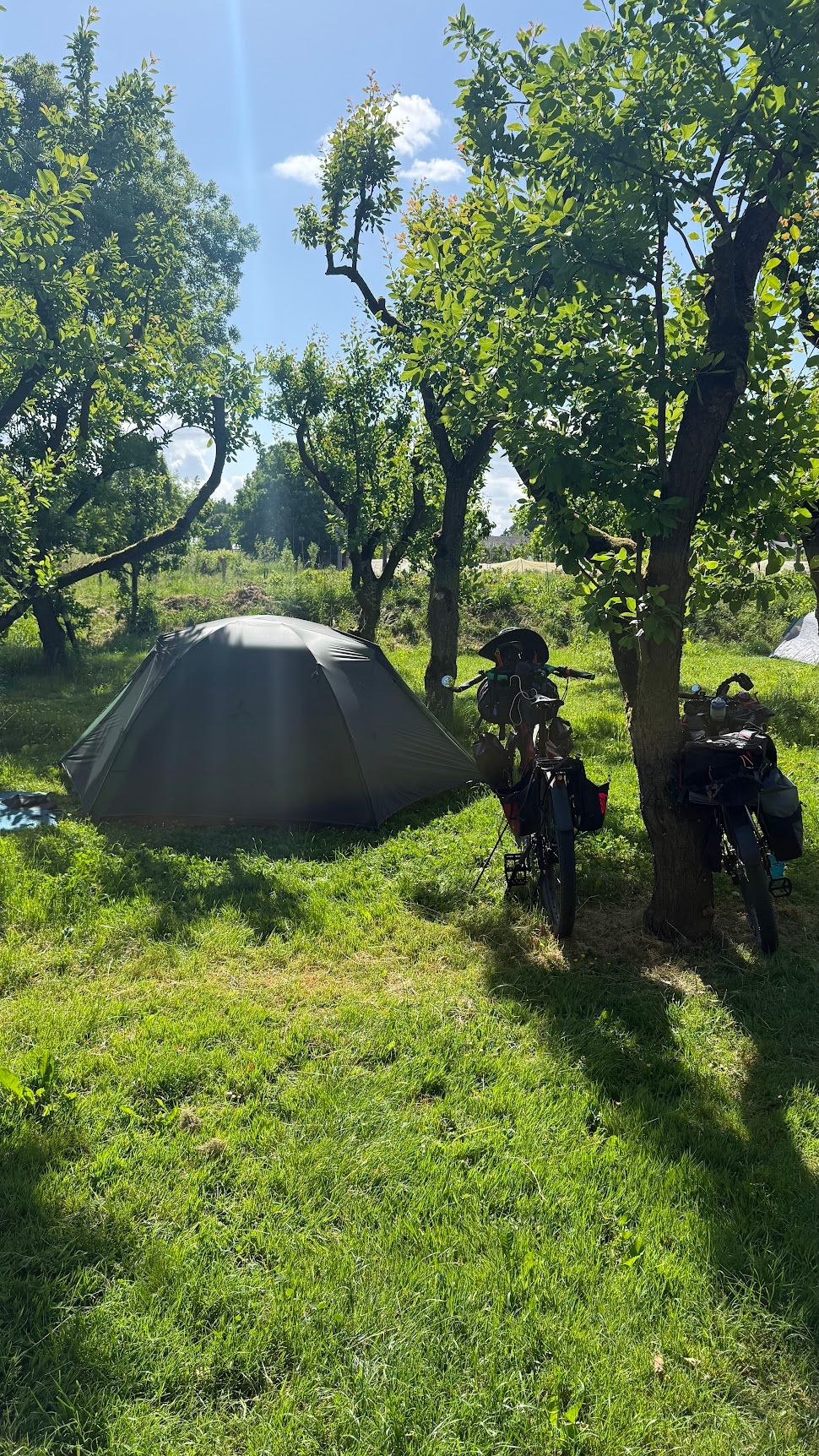 Image 20 from album: "the-netherlands""