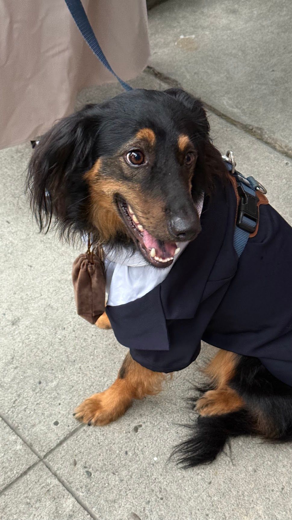 Image 1 from album: "taiwan""