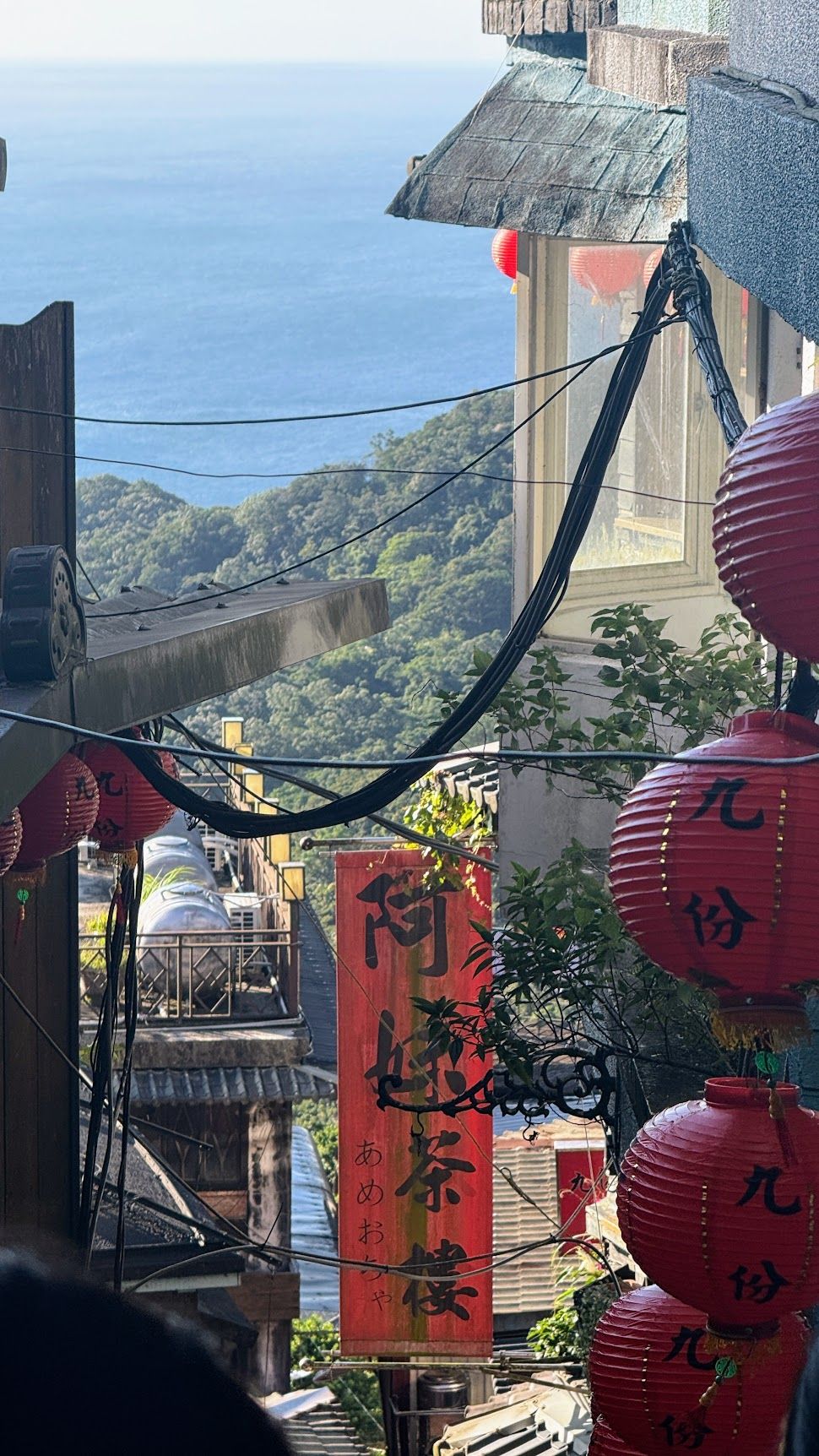 Image 4 from album: "taiwan""