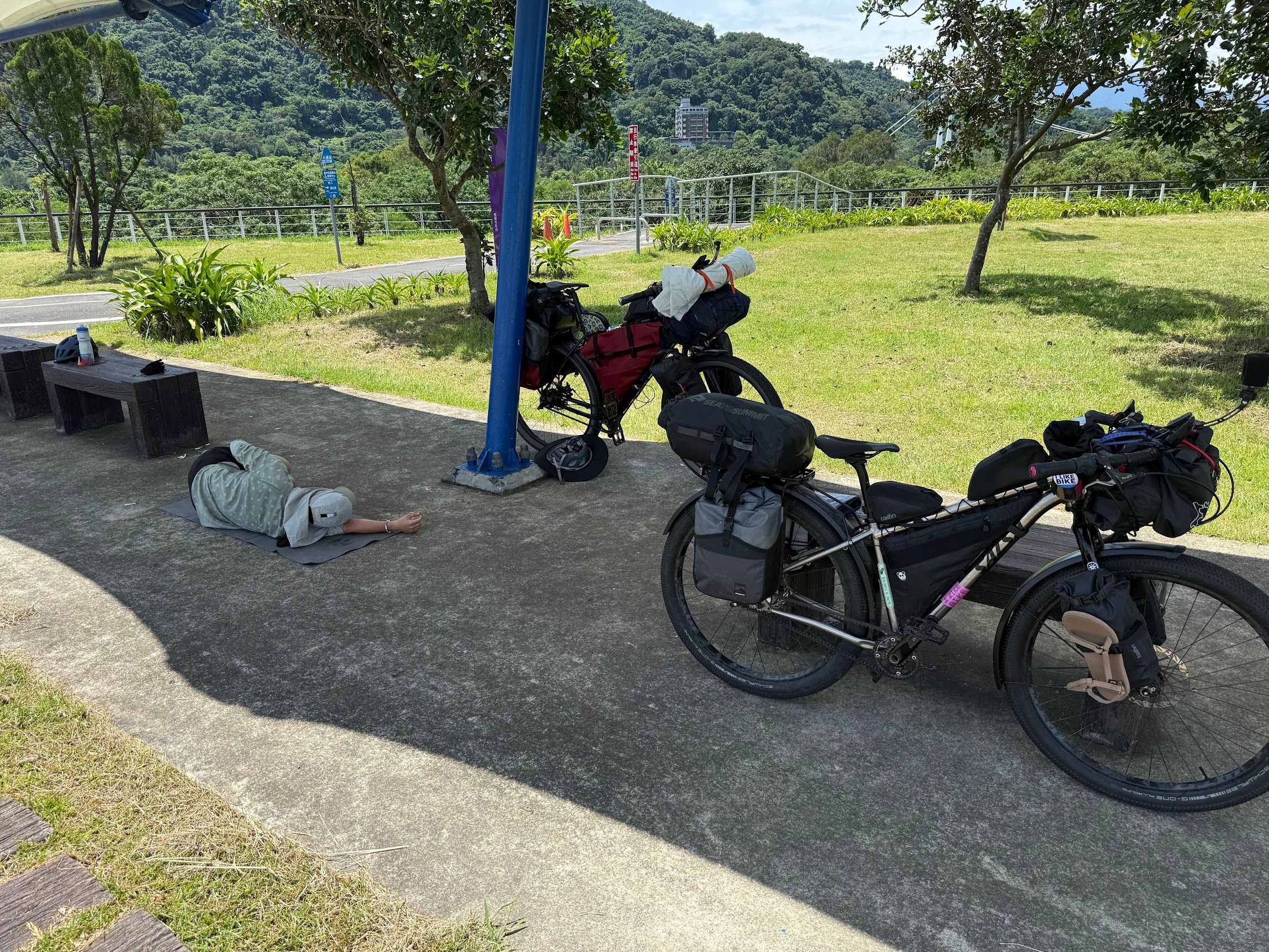 Image 13 from album: "taiwan""