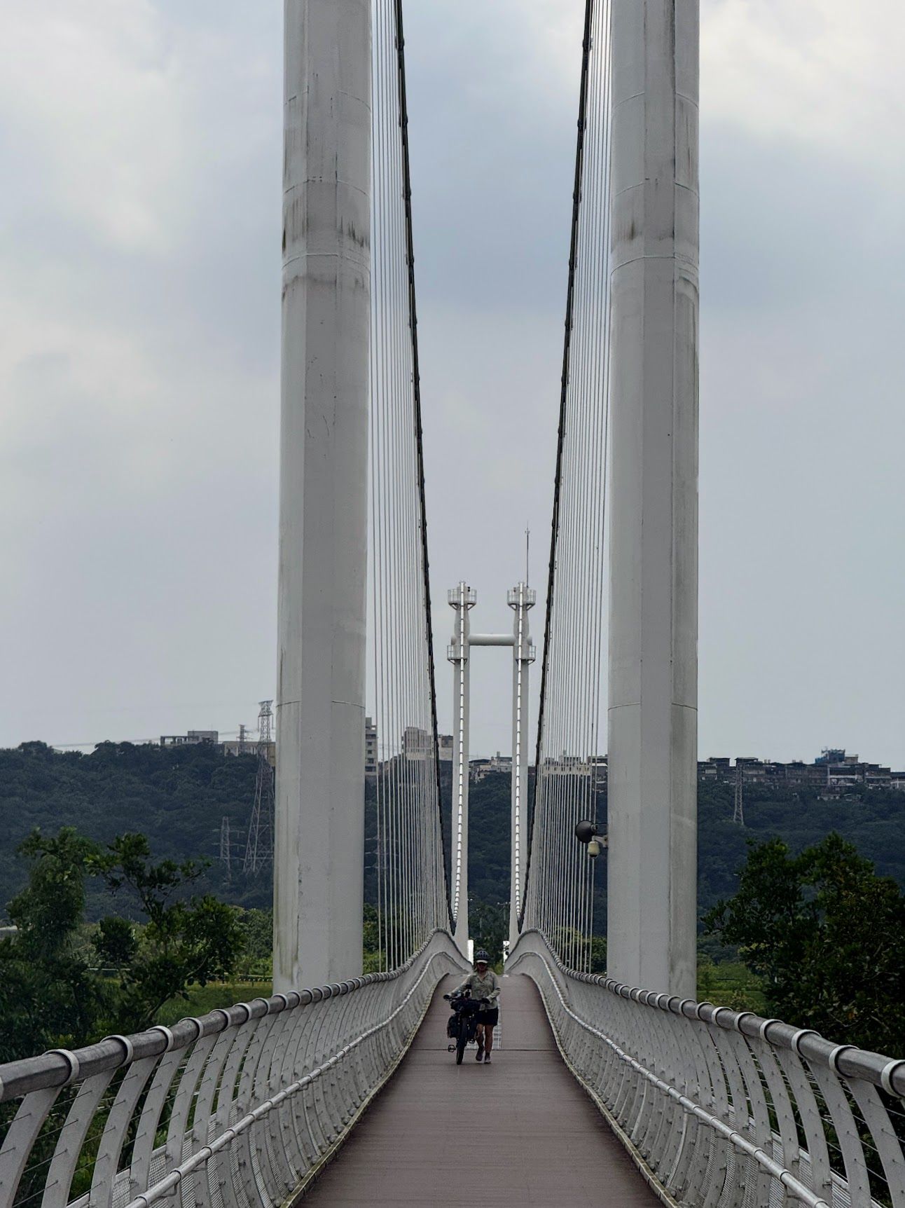 Image 14 from album: "taiwan""