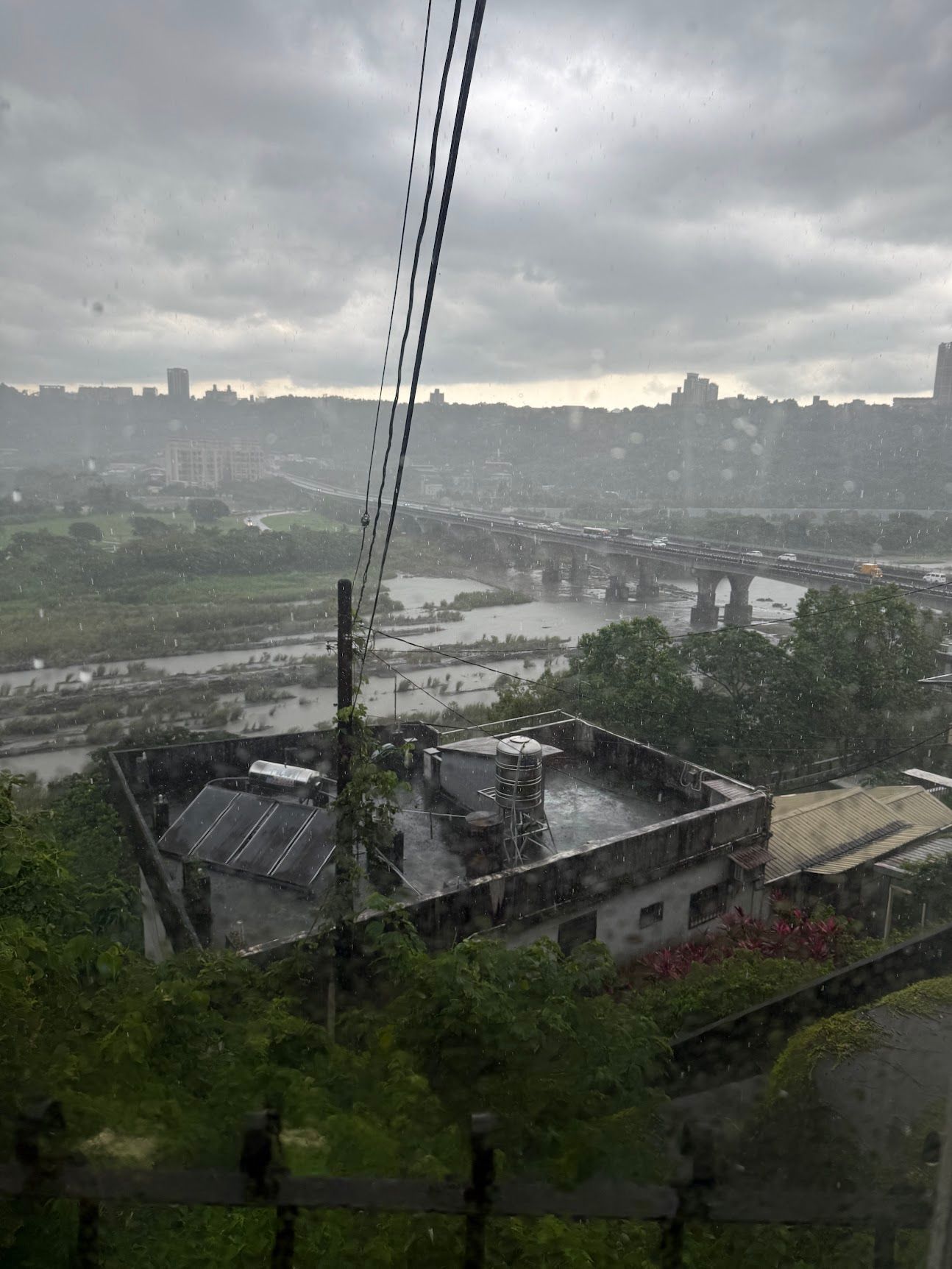 Image 15 from album: "taiwan""