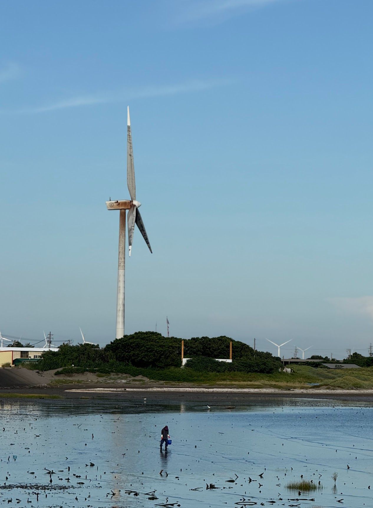 Image 17 from album: "taiwan""