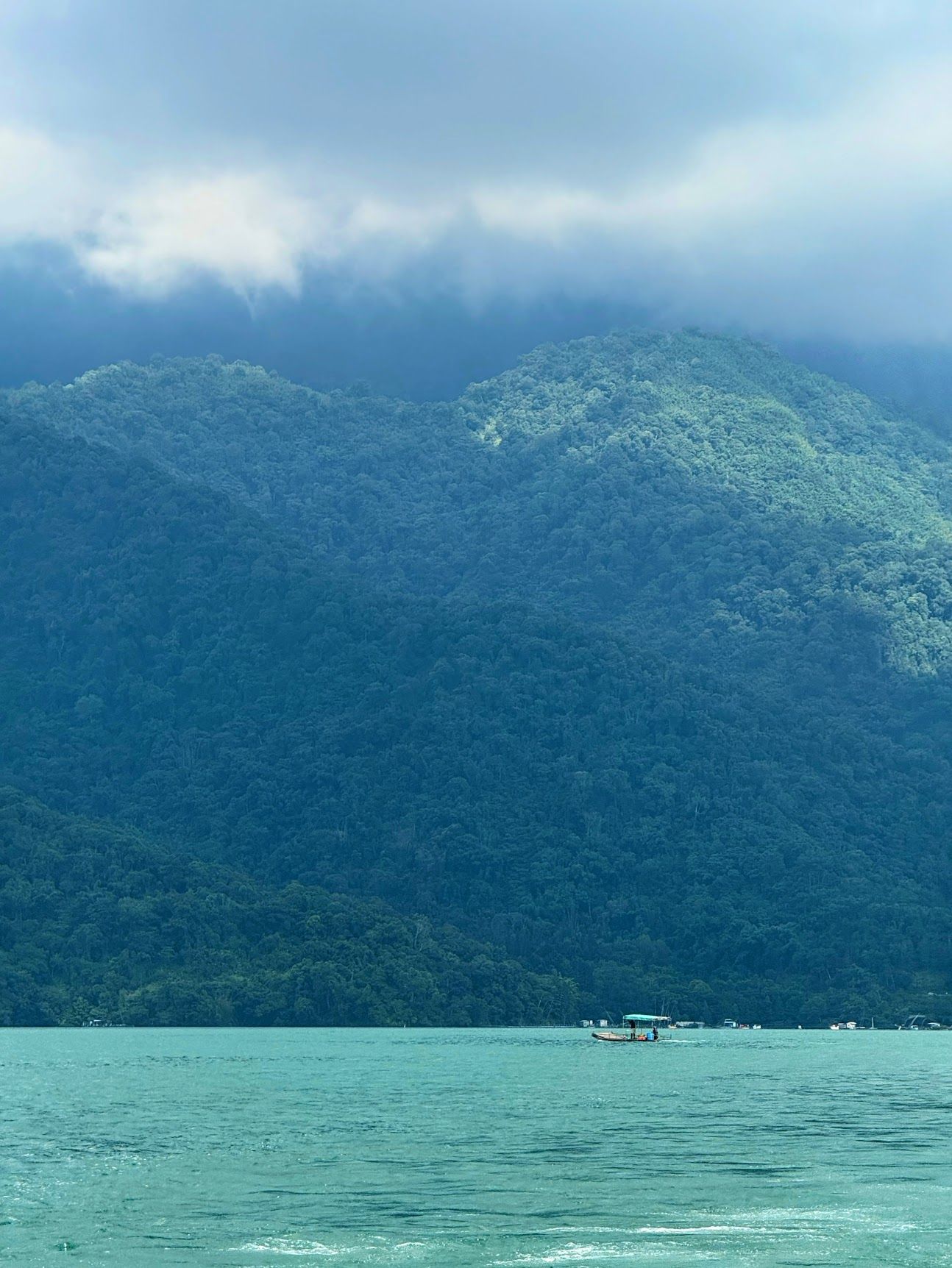 Image 24 from album: "taiwan""