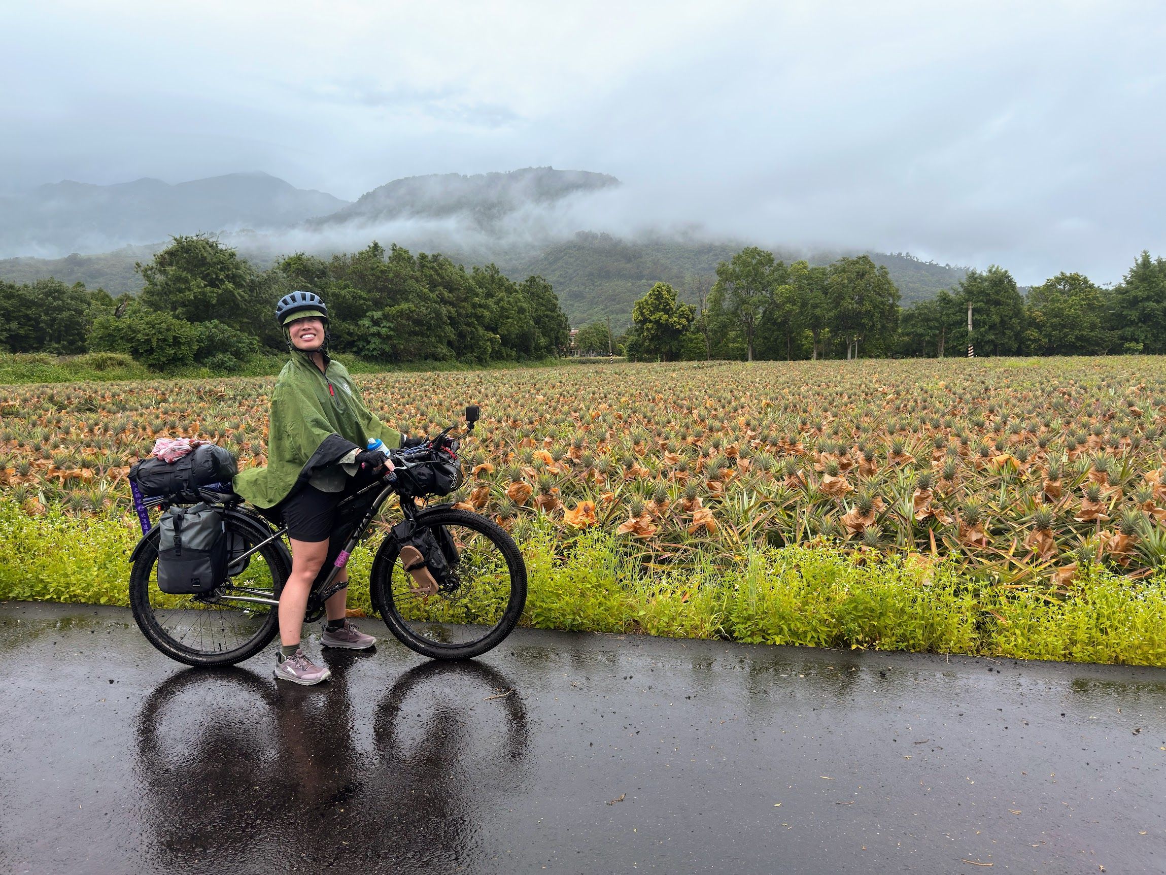 Image 31 from album: "taiwan""