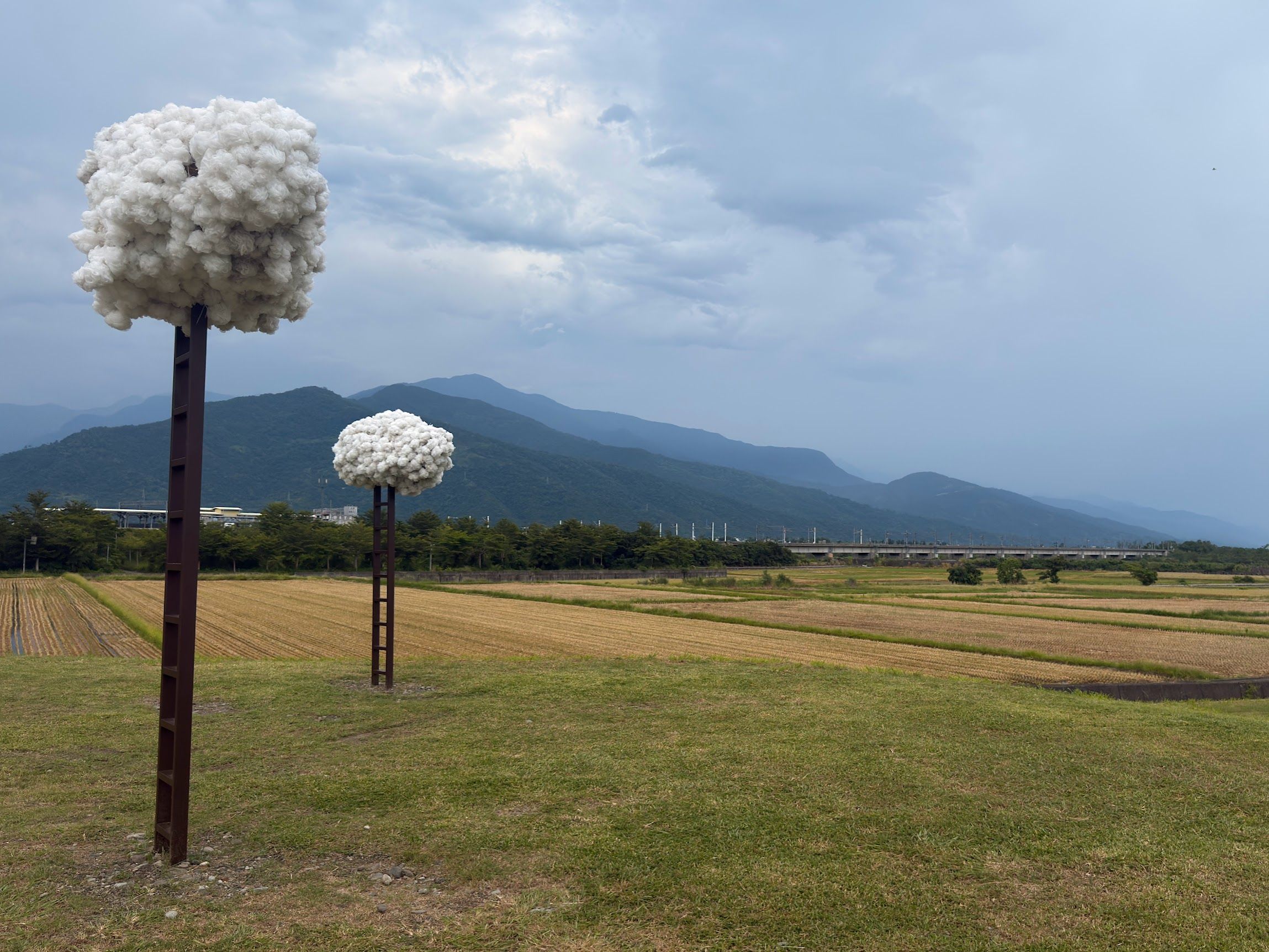 Image 33 from album: "taiwan""