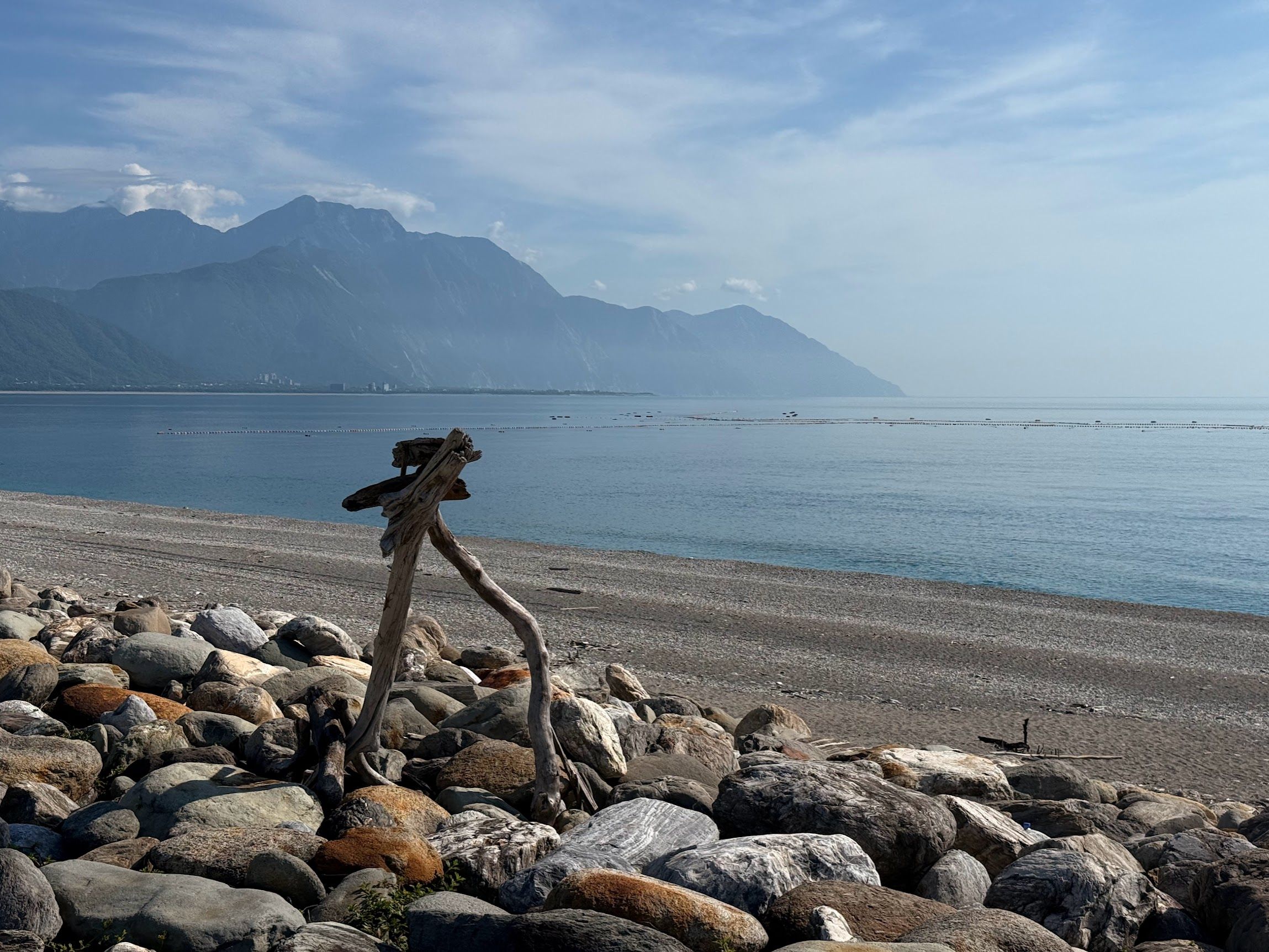 Image 39 from album: "taiwan""