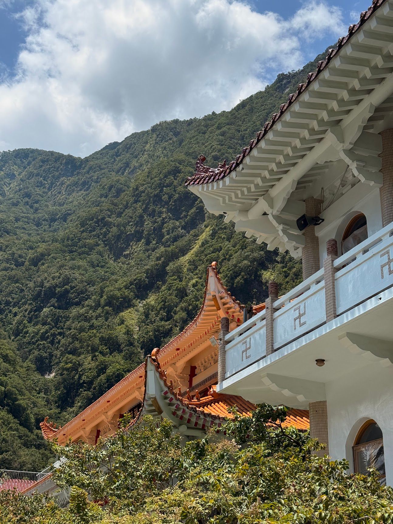 Image 44 from album: "taiwan""