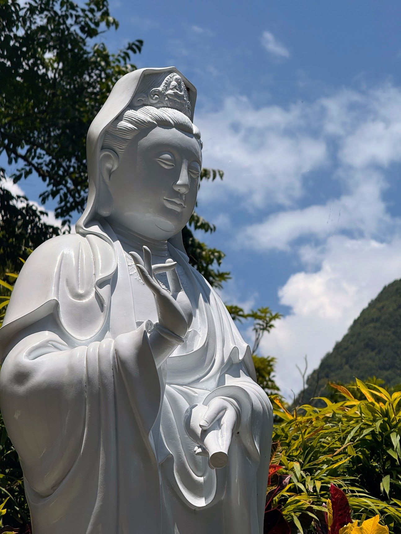 Image 47 from album: "taiwan""