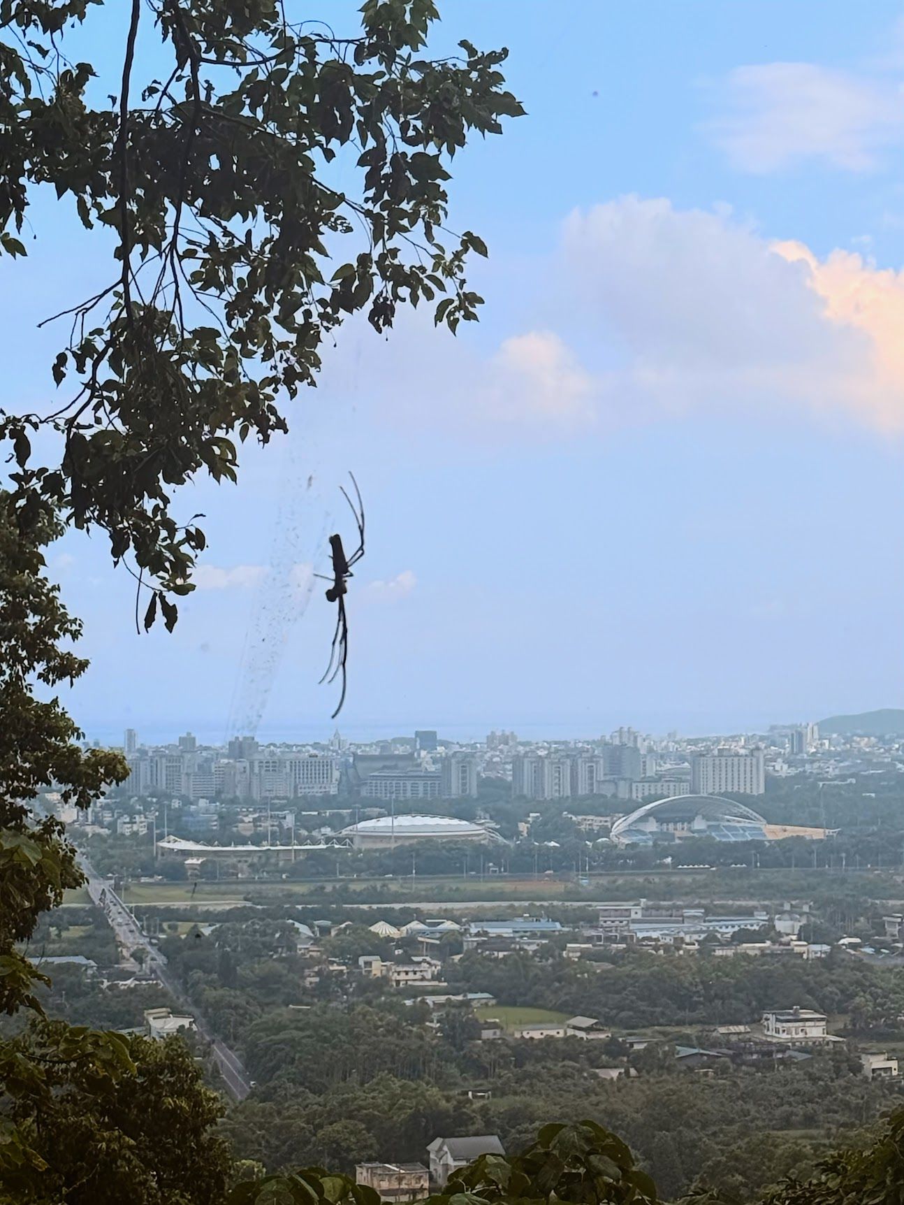 Image 48 from album: "taiwan""