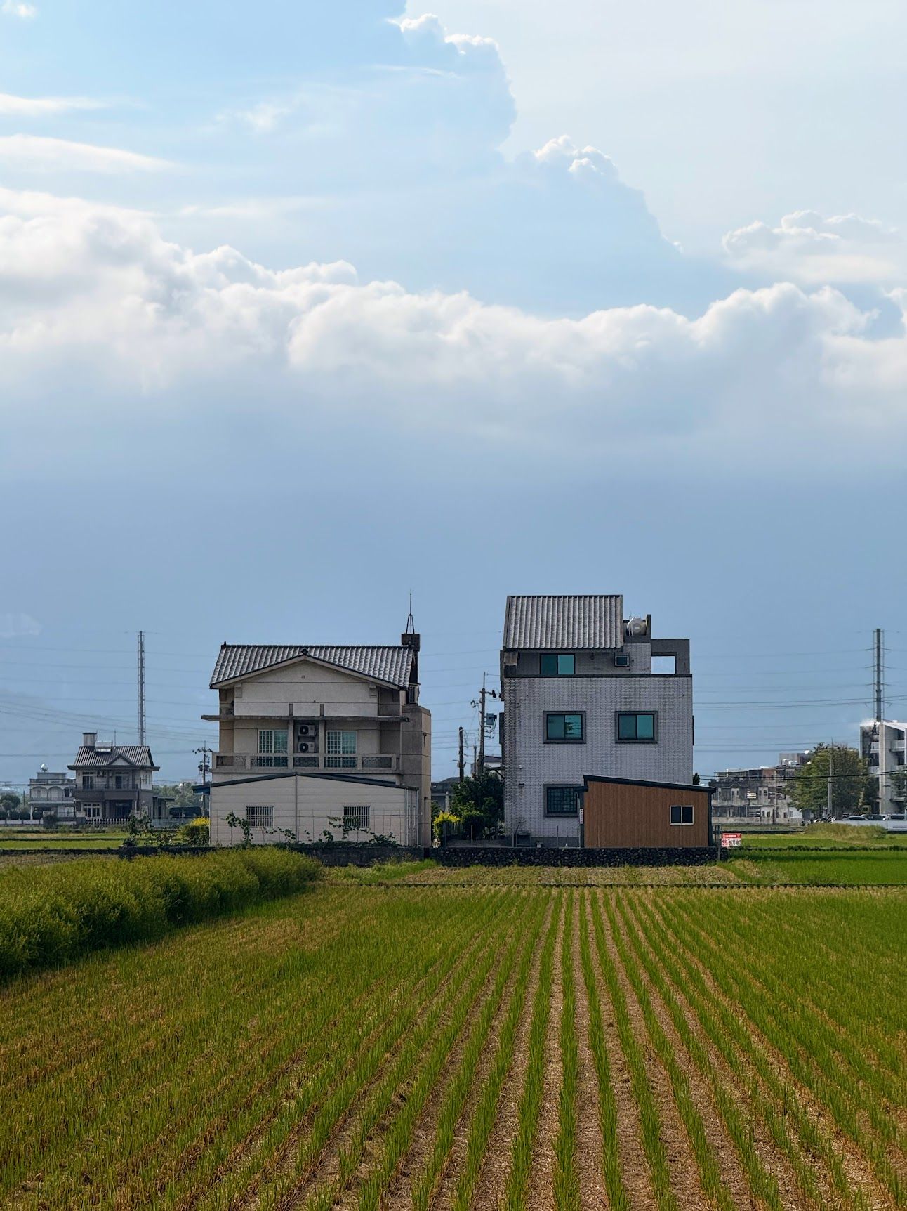 Image 52 from album: "taiwan""