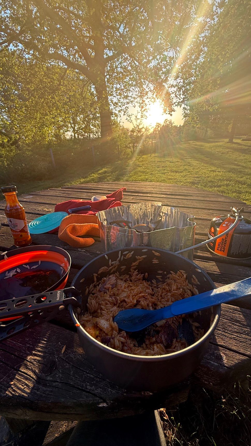 Image 4 from album: "the-netherlands""